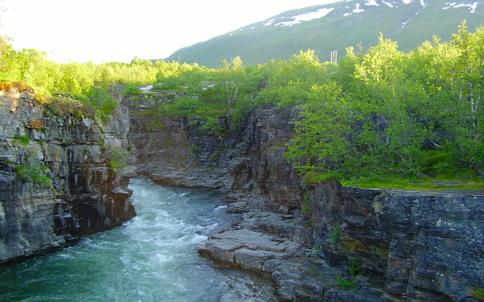 Abiskojåkka