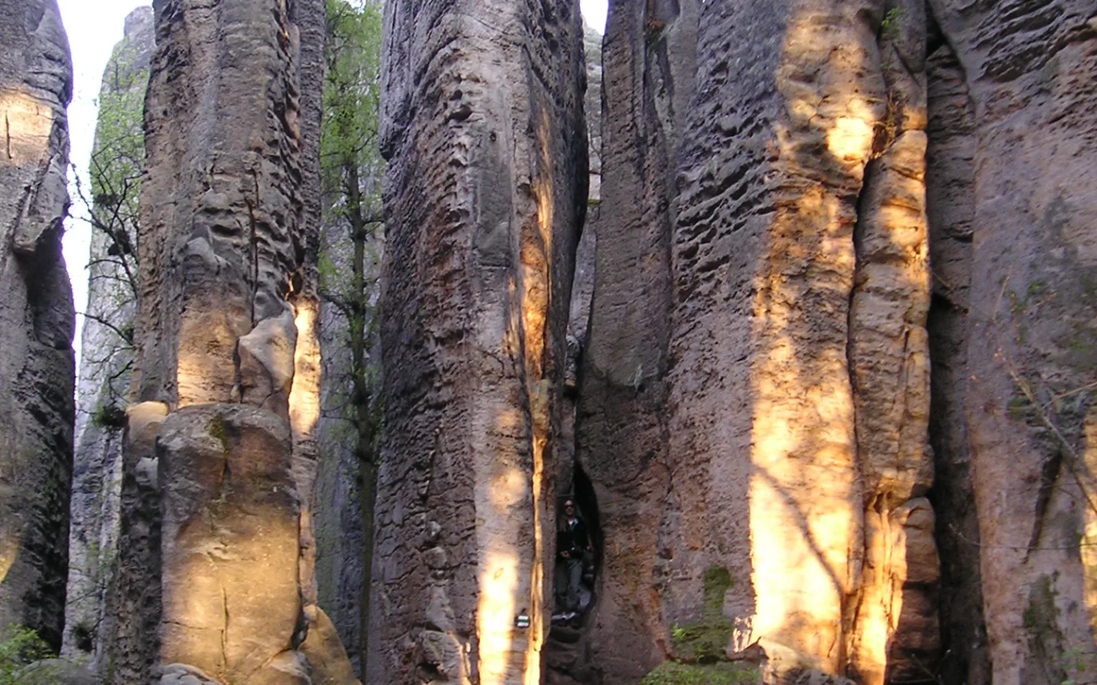 Sandstone and wooded hills in Bohemian Paradise