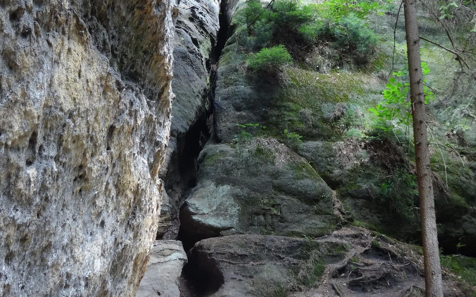 Marked footpath through sandstone terrain toward Pravčická Gate