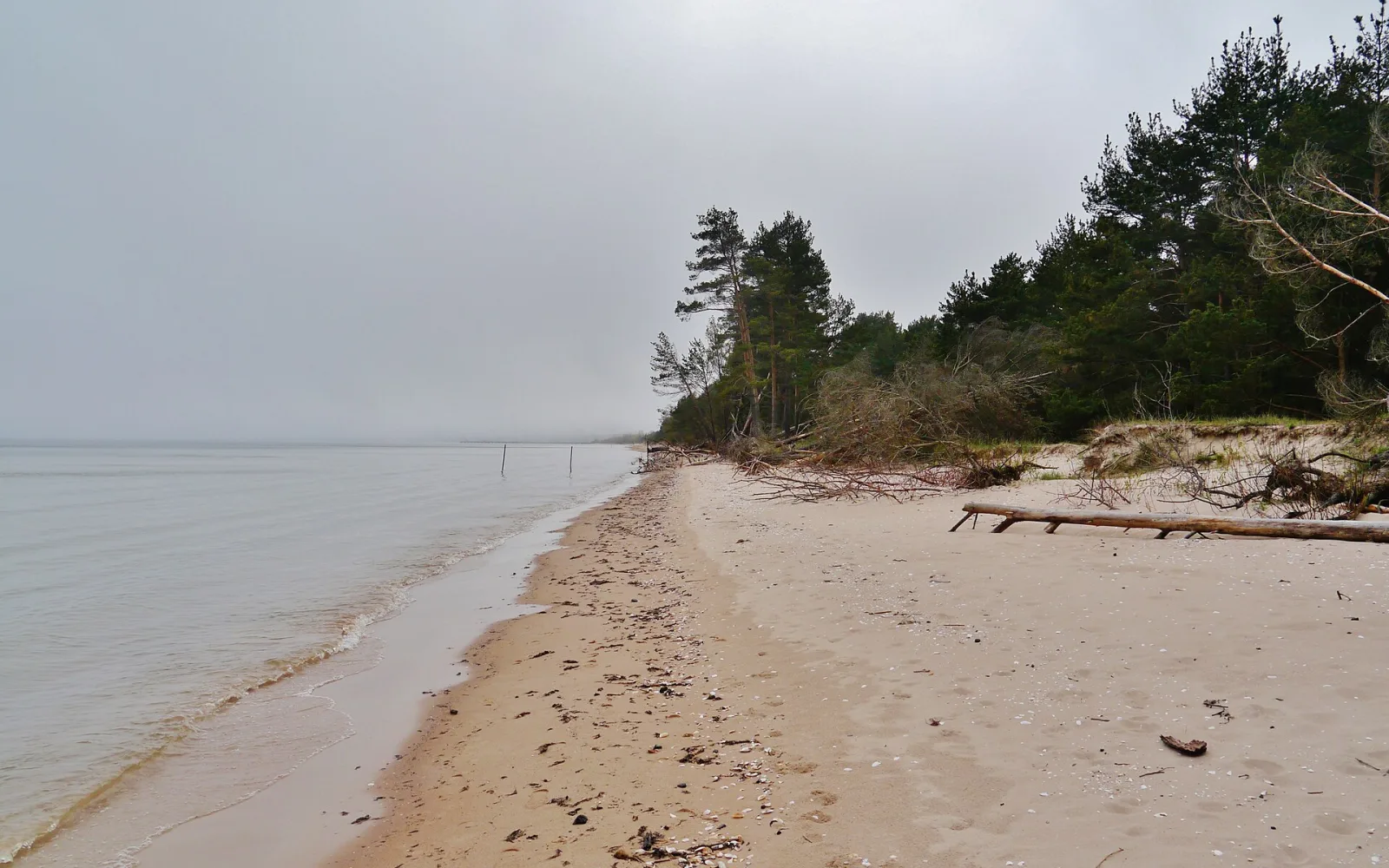 Coastline at Cape Kolka in Slītere National Park