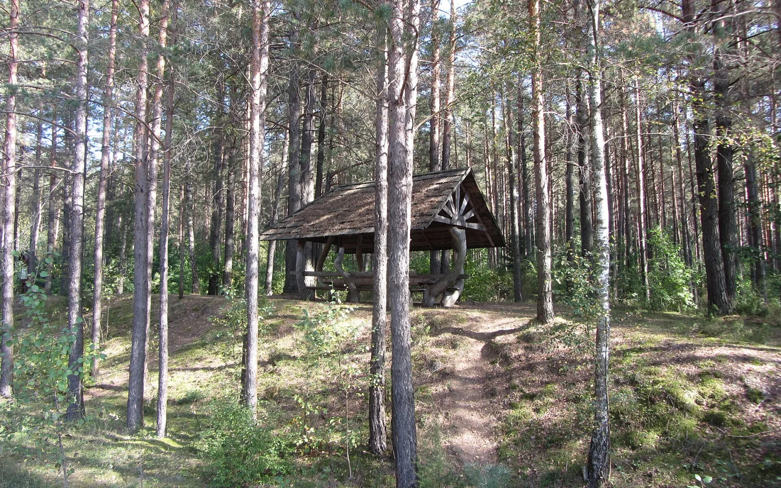 Marcinkonys Lithuania landscape in the Dzūkija National Park area