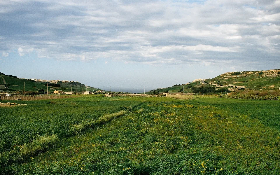 Terraced fields and low hills across Gozo