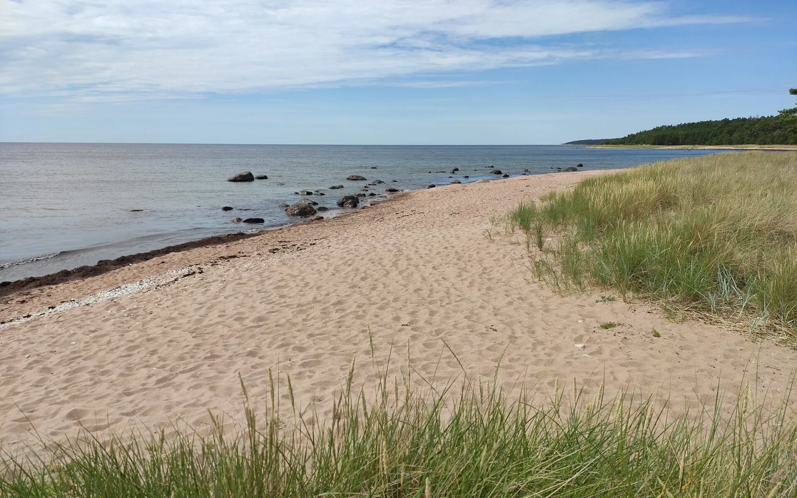 Kaleste beach on the wooded coast of Hiiumaa
