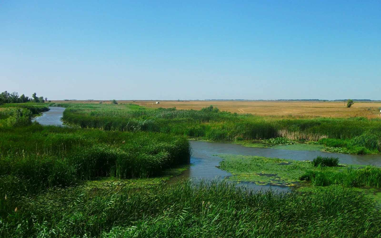 Open grassland in Hortobagy National Park