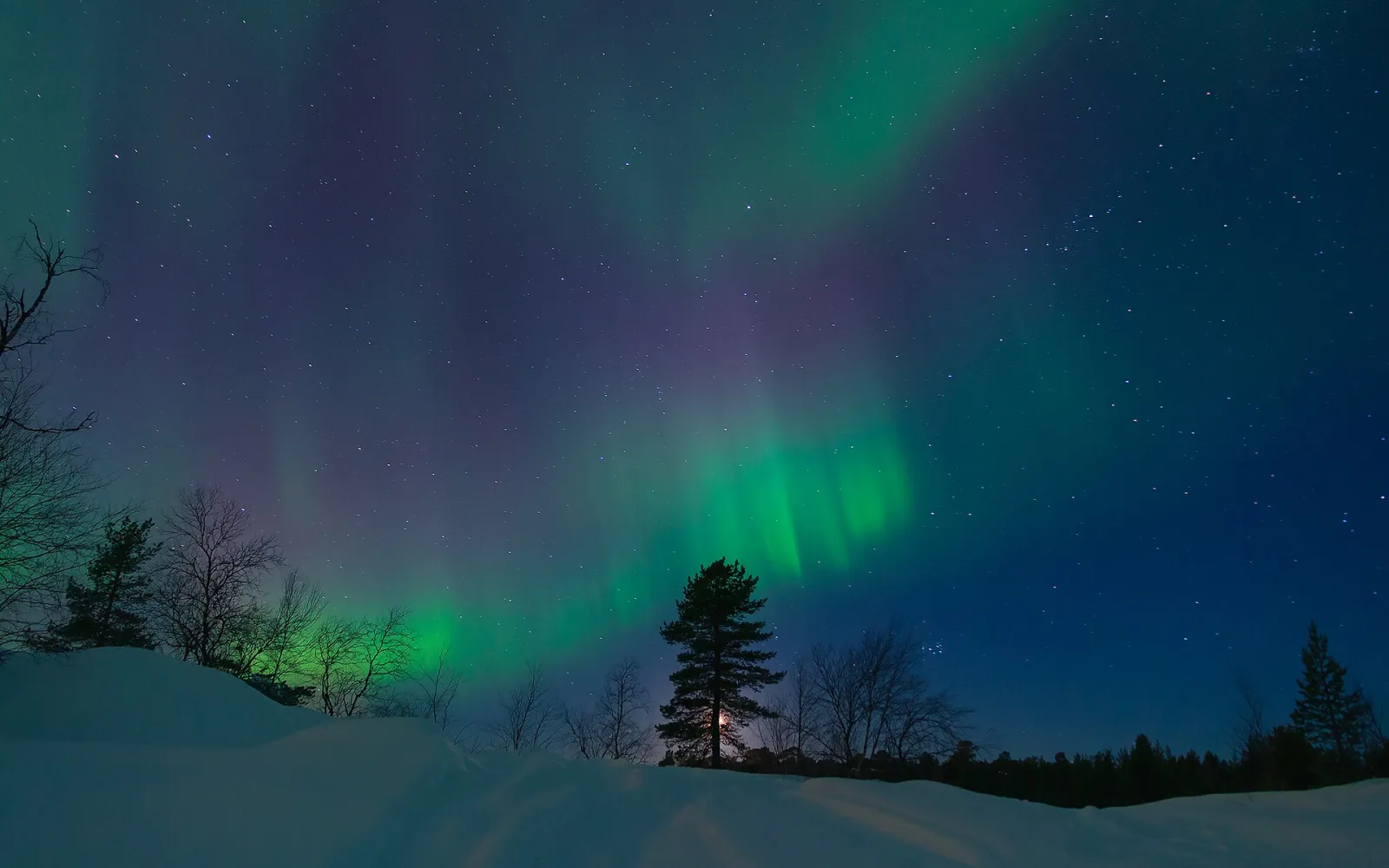 Northern lights rayed bands above Vuopajanniemi, Inari, Lapland, Finland, 2018 March