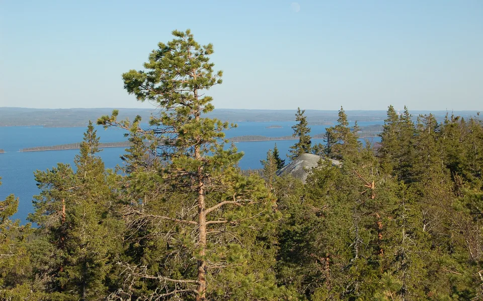 Koli 14052011 akka-koli 29