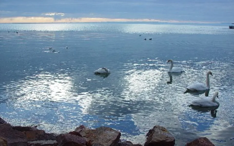 Lake Balaton lake in Lake Balaton