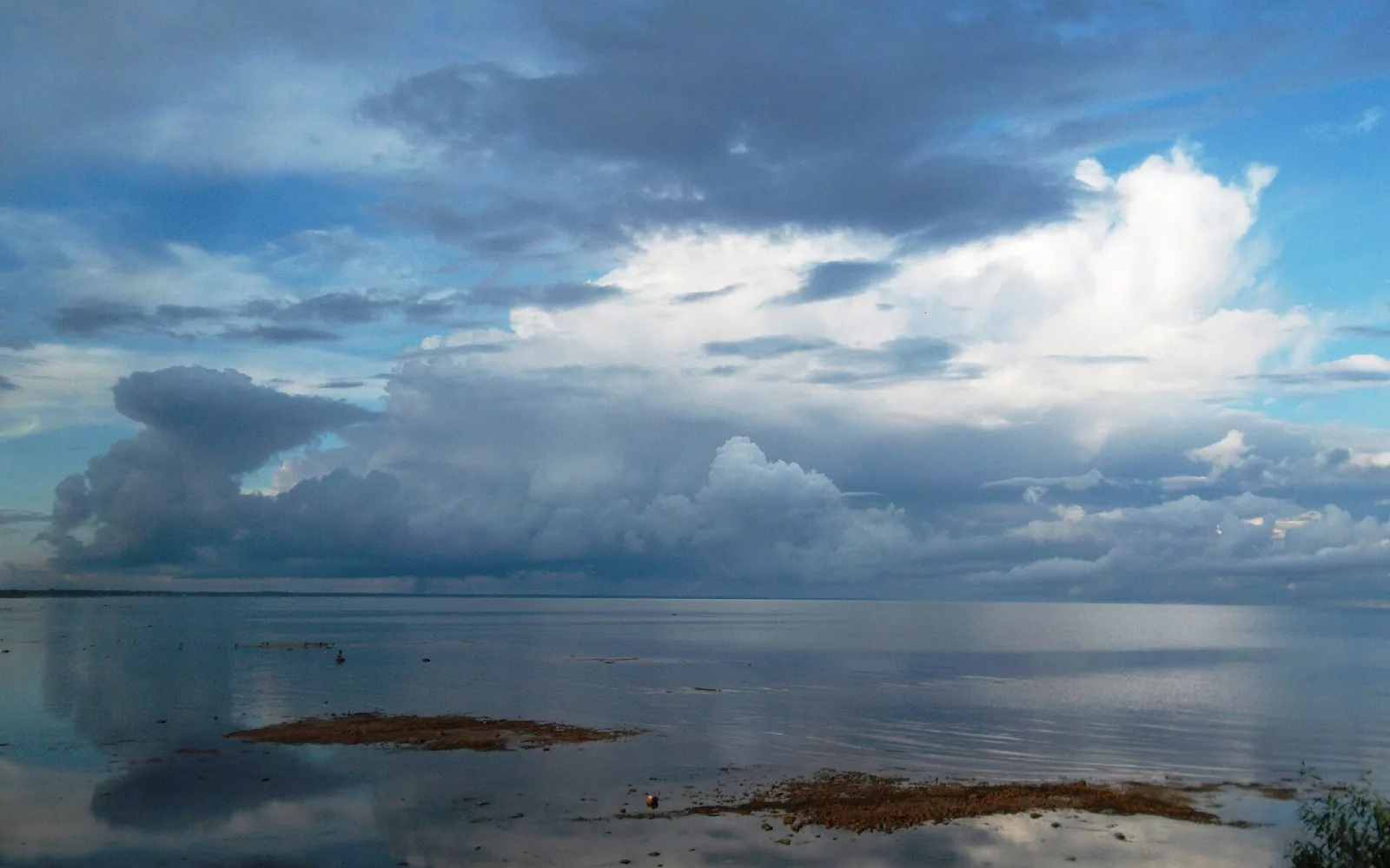 Lake Peipus viewed from Mustvee