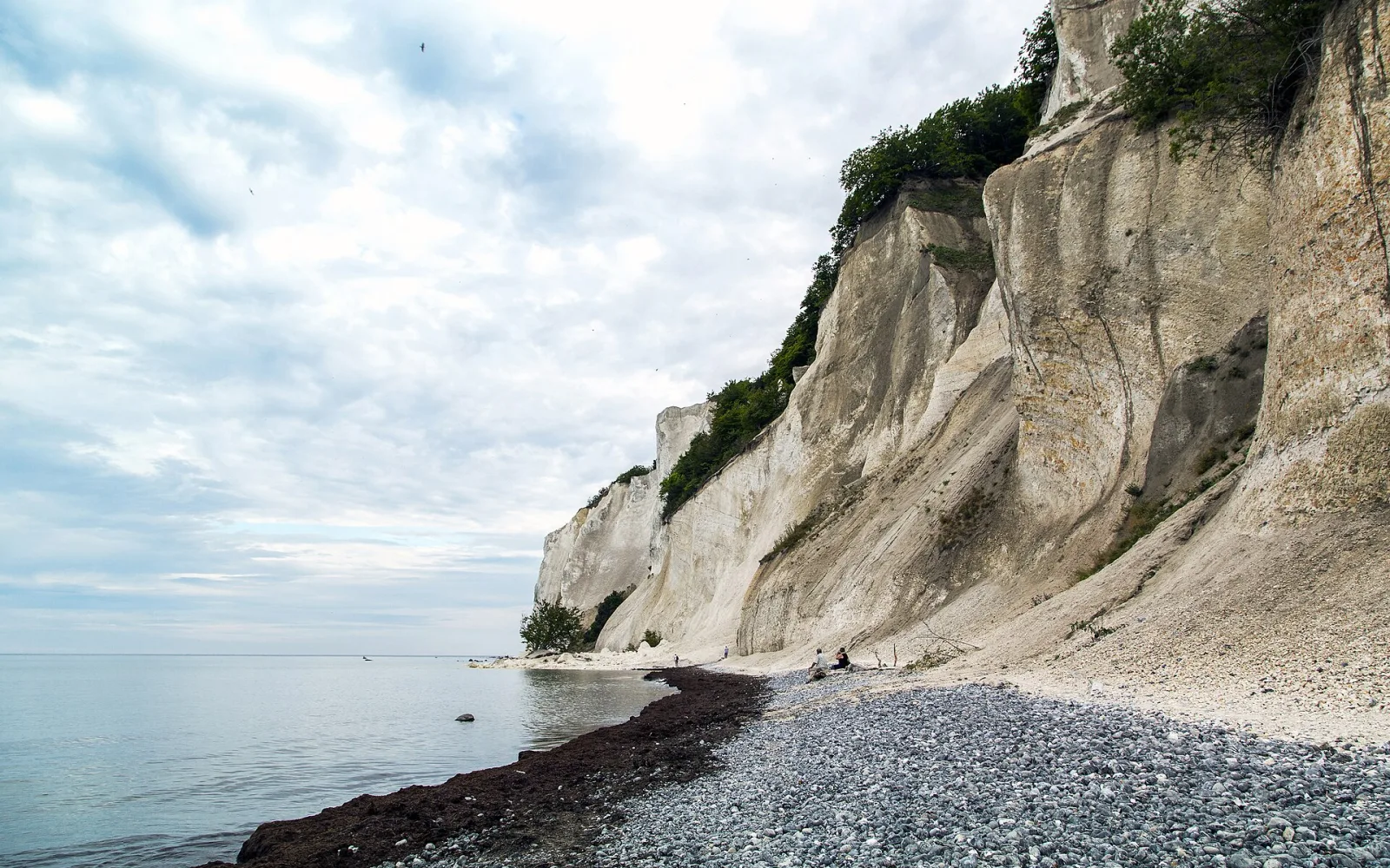 Mons klint 20130729 107 (9704925509)