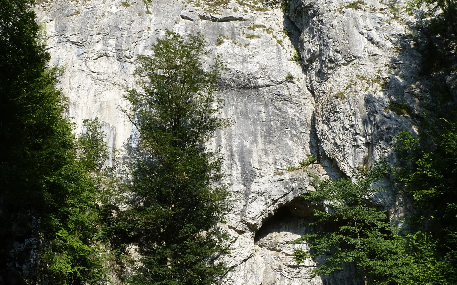 Limestone outcrop and forest in the Moravian Karst