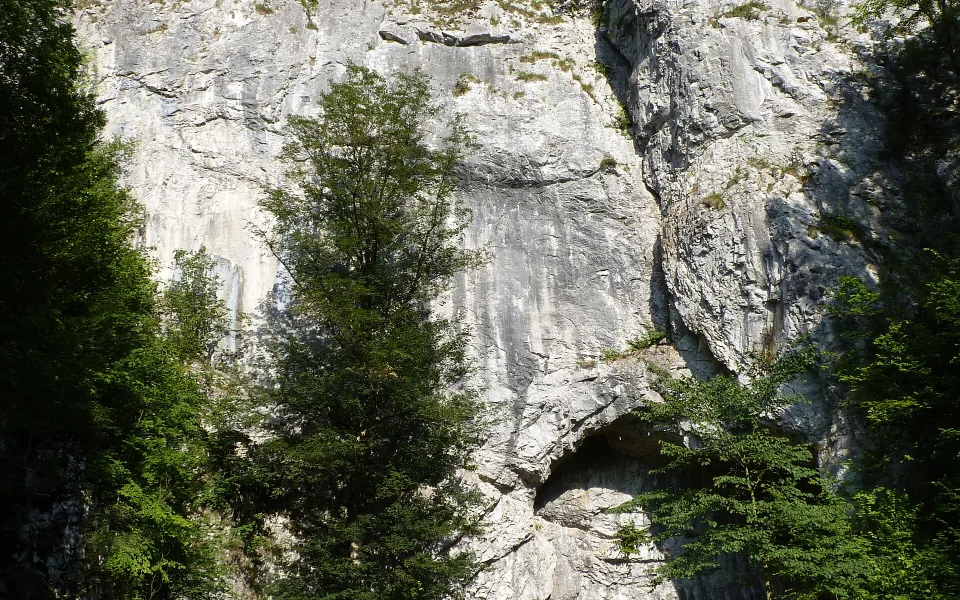 Limestone outcrop and forest in the Moravian Karst