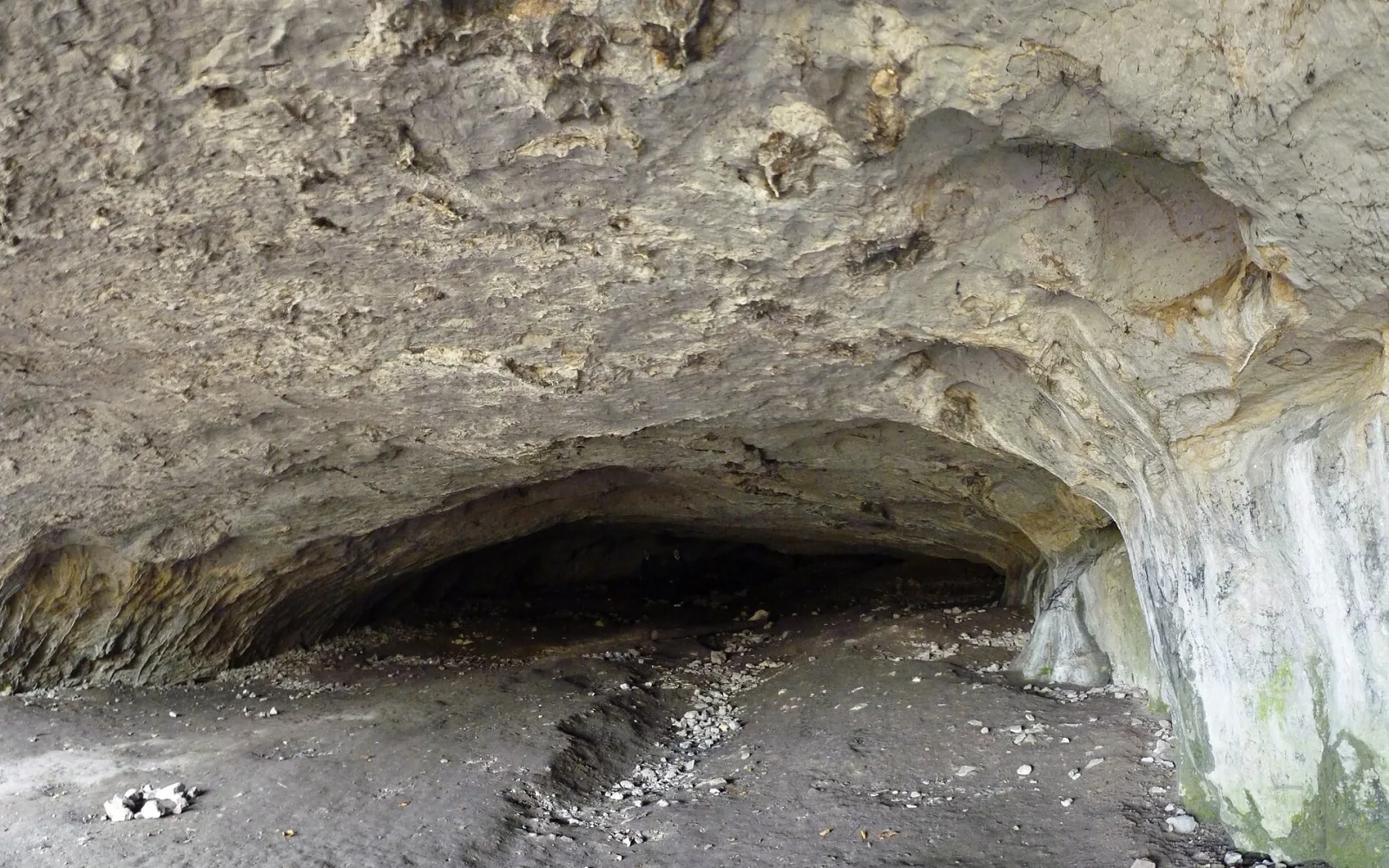 Interior of Pekárna Cave in the Moravian Karst