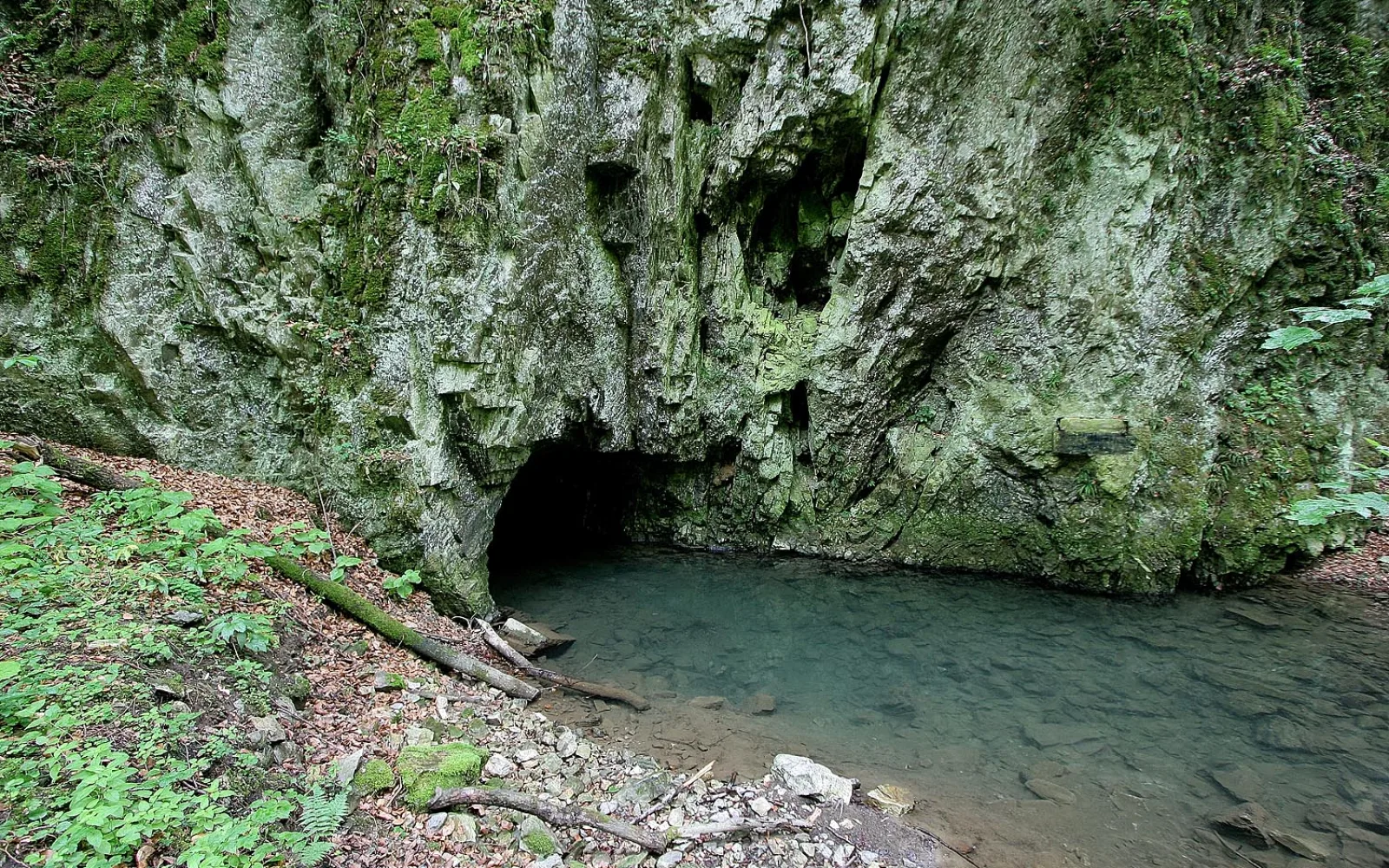 Punkva River landscape in the Moravian Karst