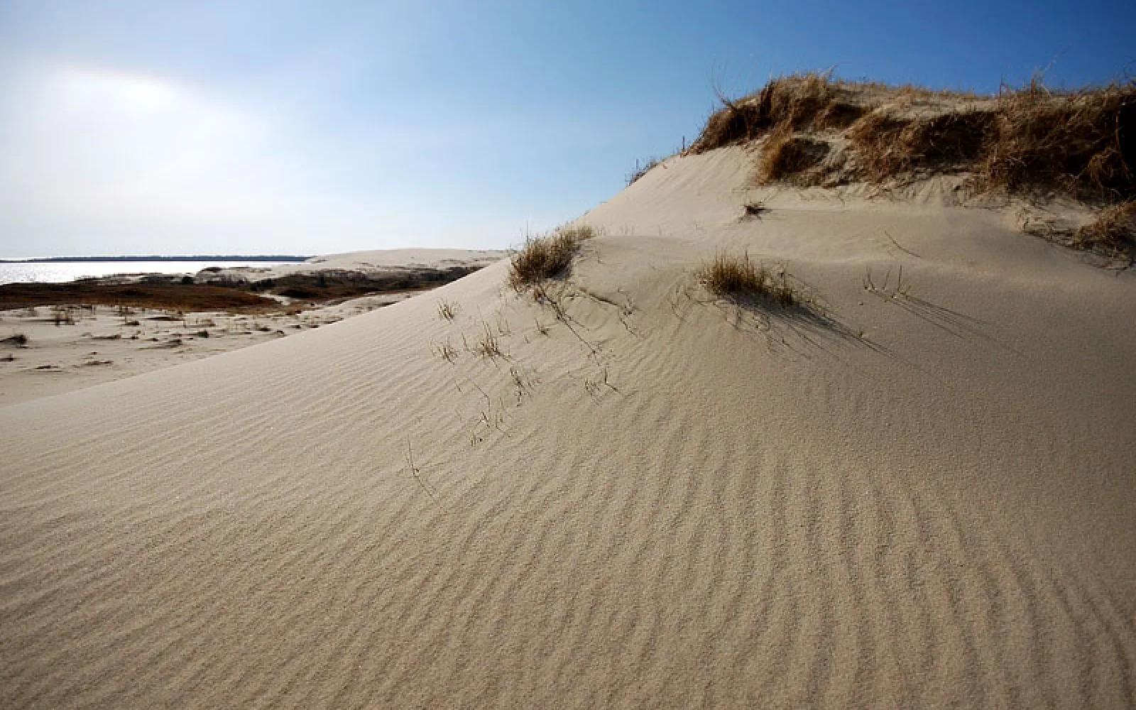 Nida Lithuania dunes in Nida