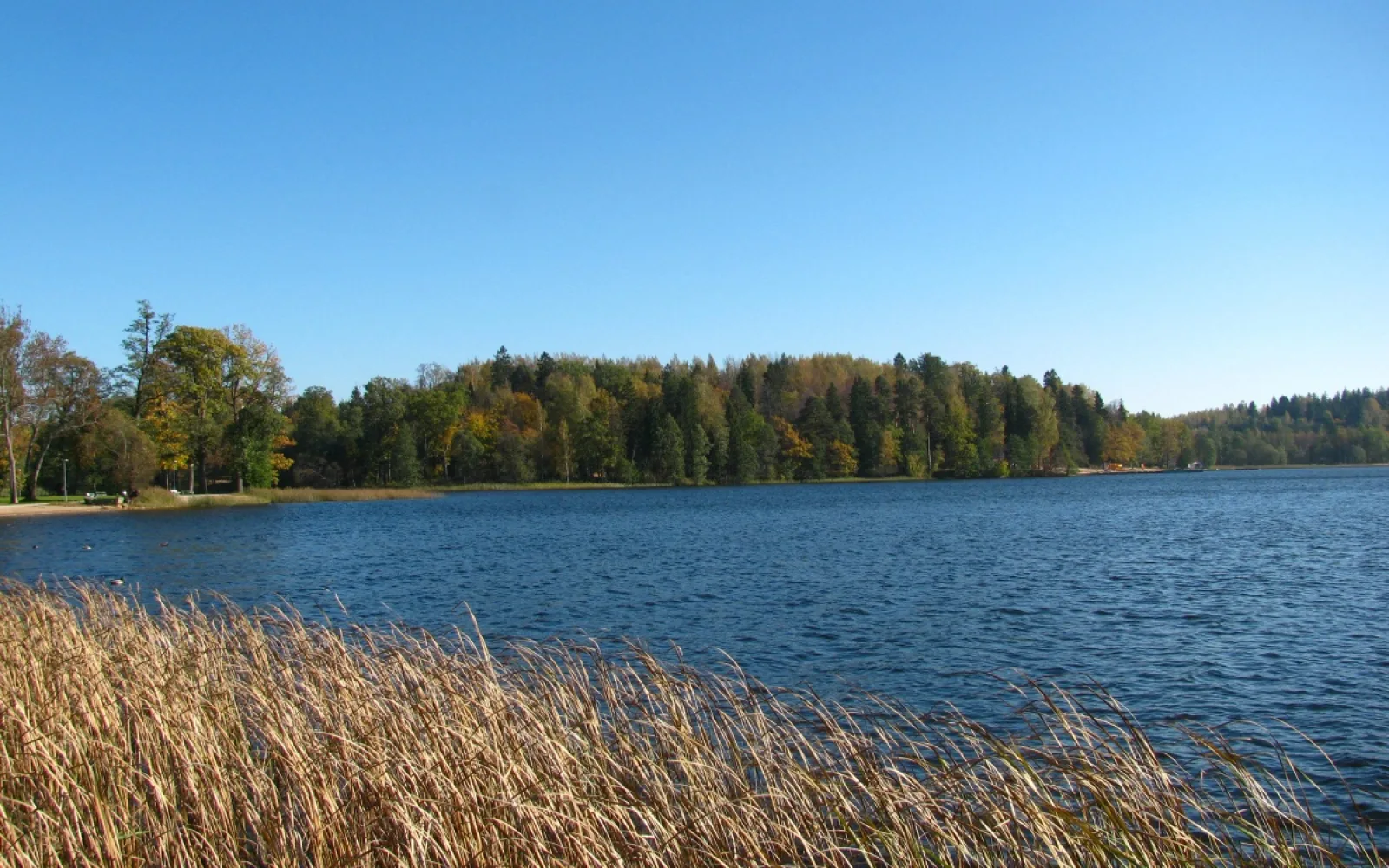 Lake Pühajärv in the Otepää uplands