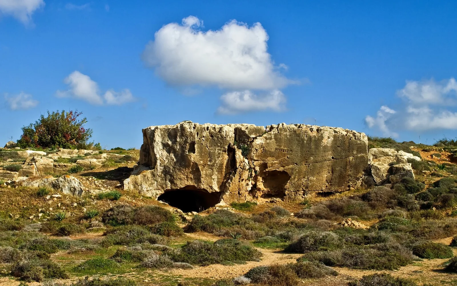 Paphos cityscape in the Paphos area