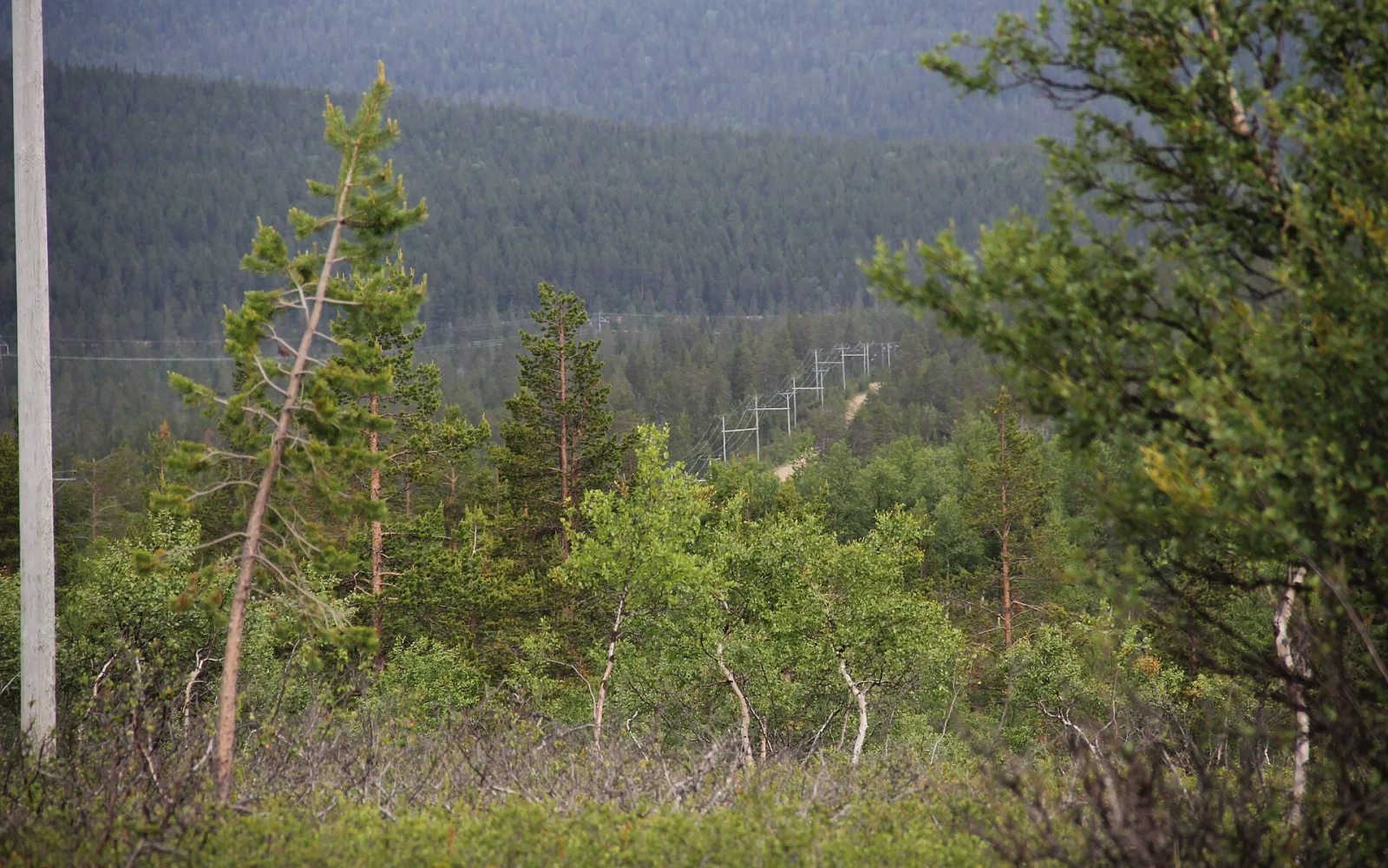 Magneettimäki 1