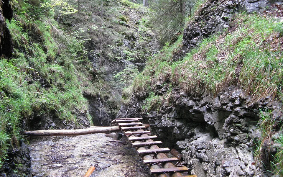 Wooden ladders on a gorge trail in Slovak Paradise
