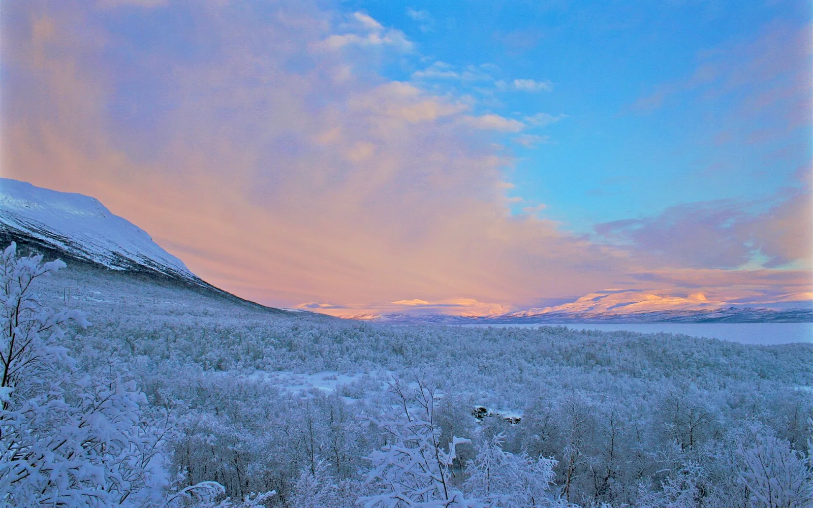Winter in Abisko