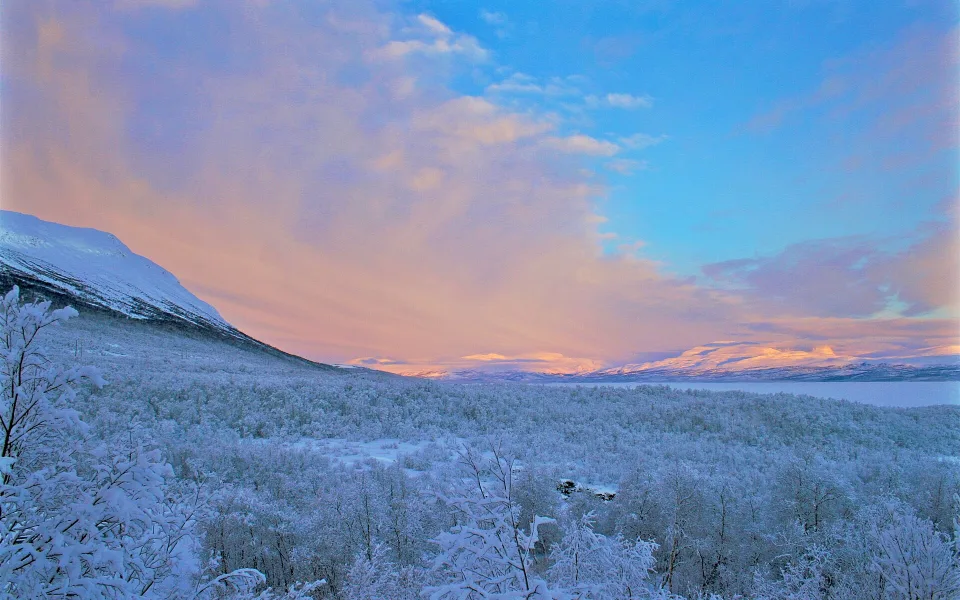 Winter in Abisko