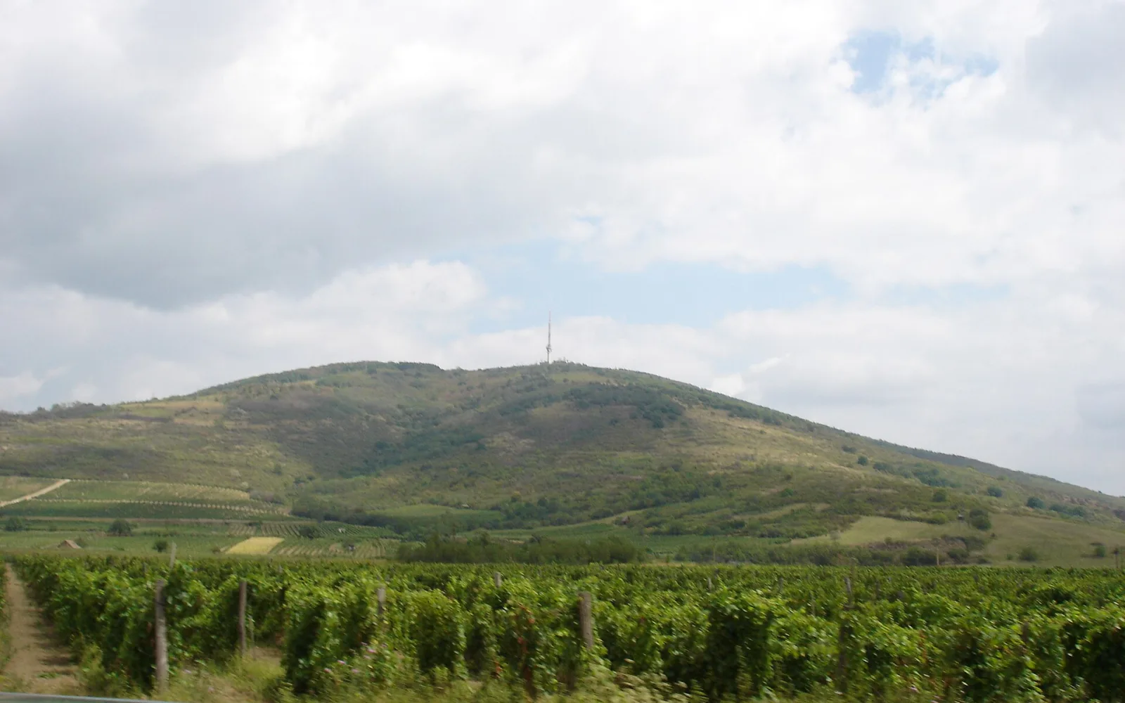 Tokaj town beneath the Zemplen foothills