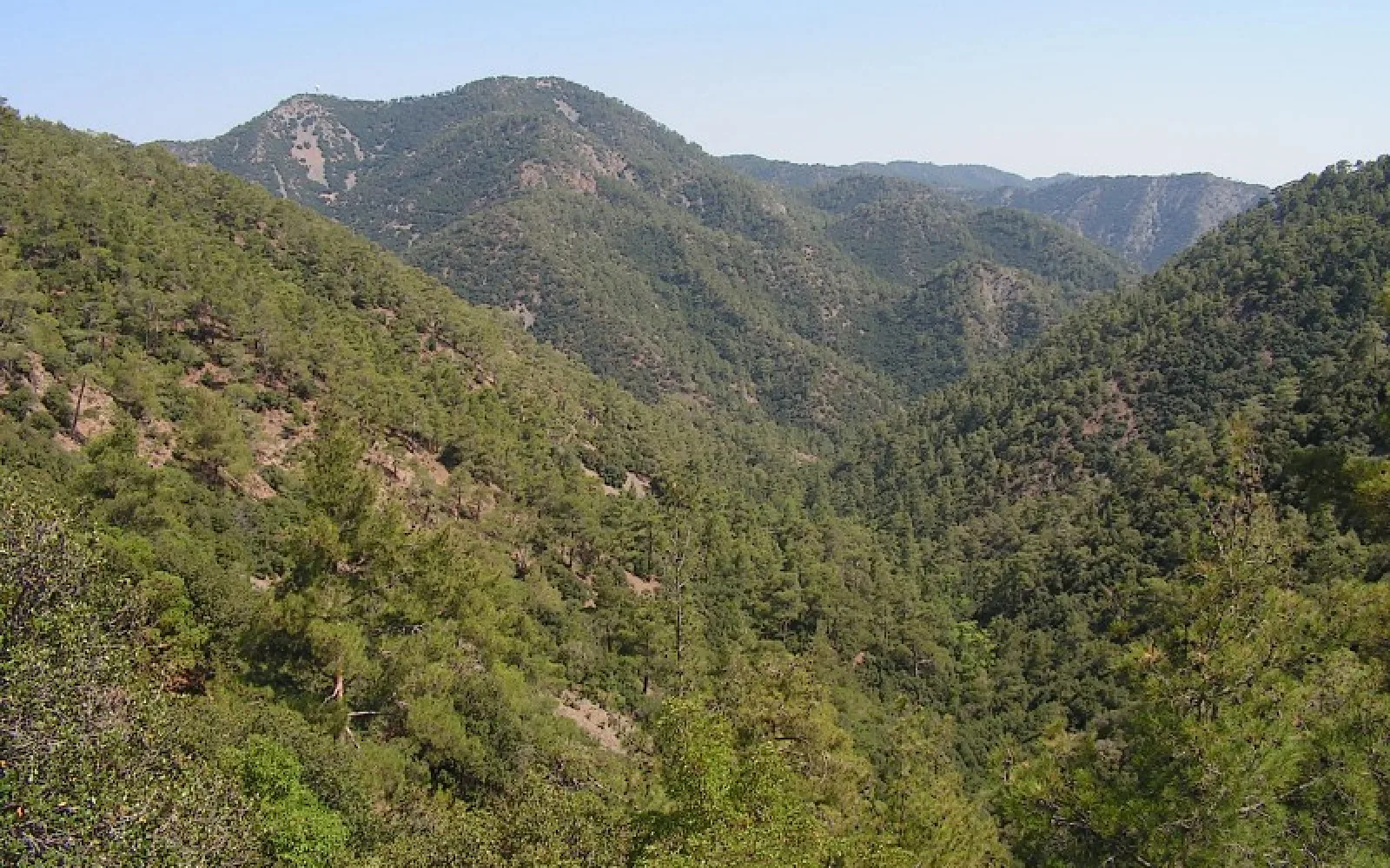 Kakopetria landscape in Kakopetria