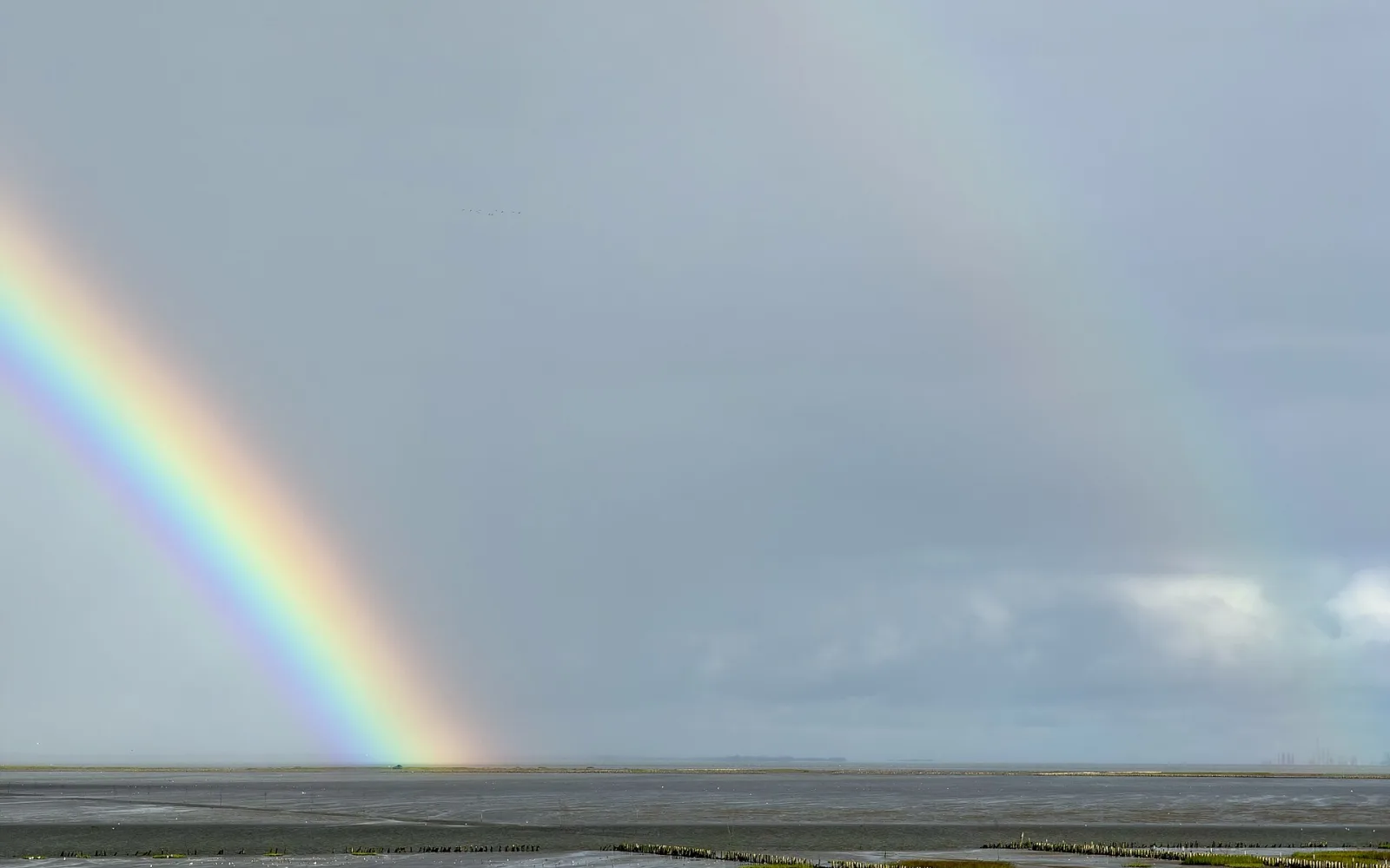 Vadehavet Wadden Sea rainbow Denmark (2026-08-11)