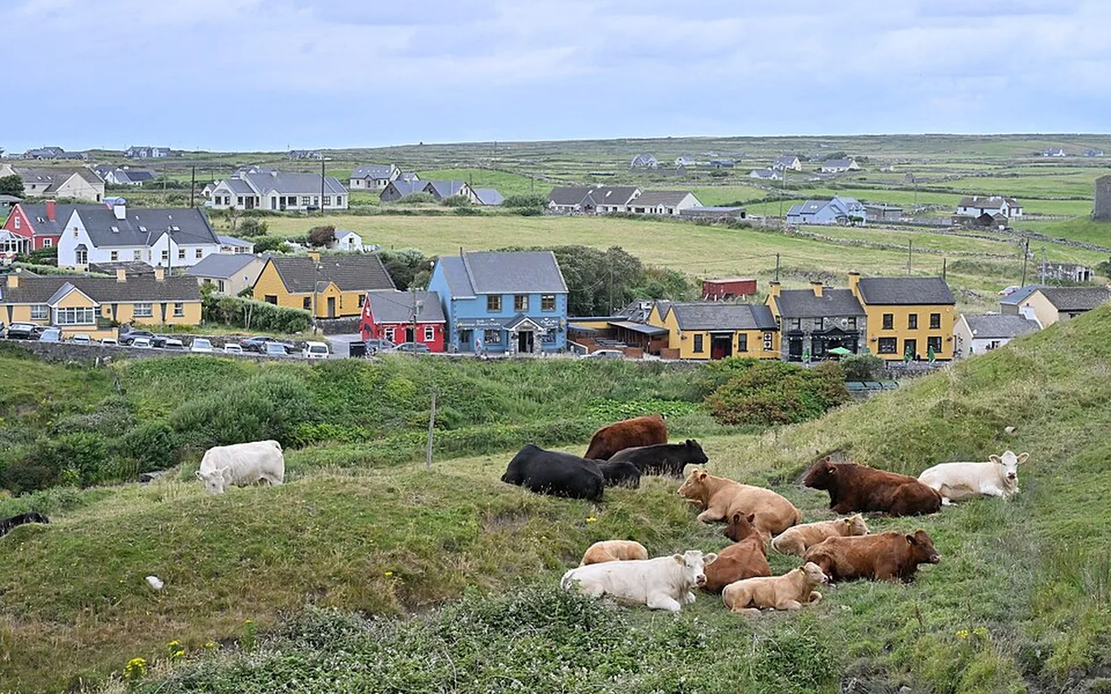 Fisher Street in Doolin with fields and grazing cattle