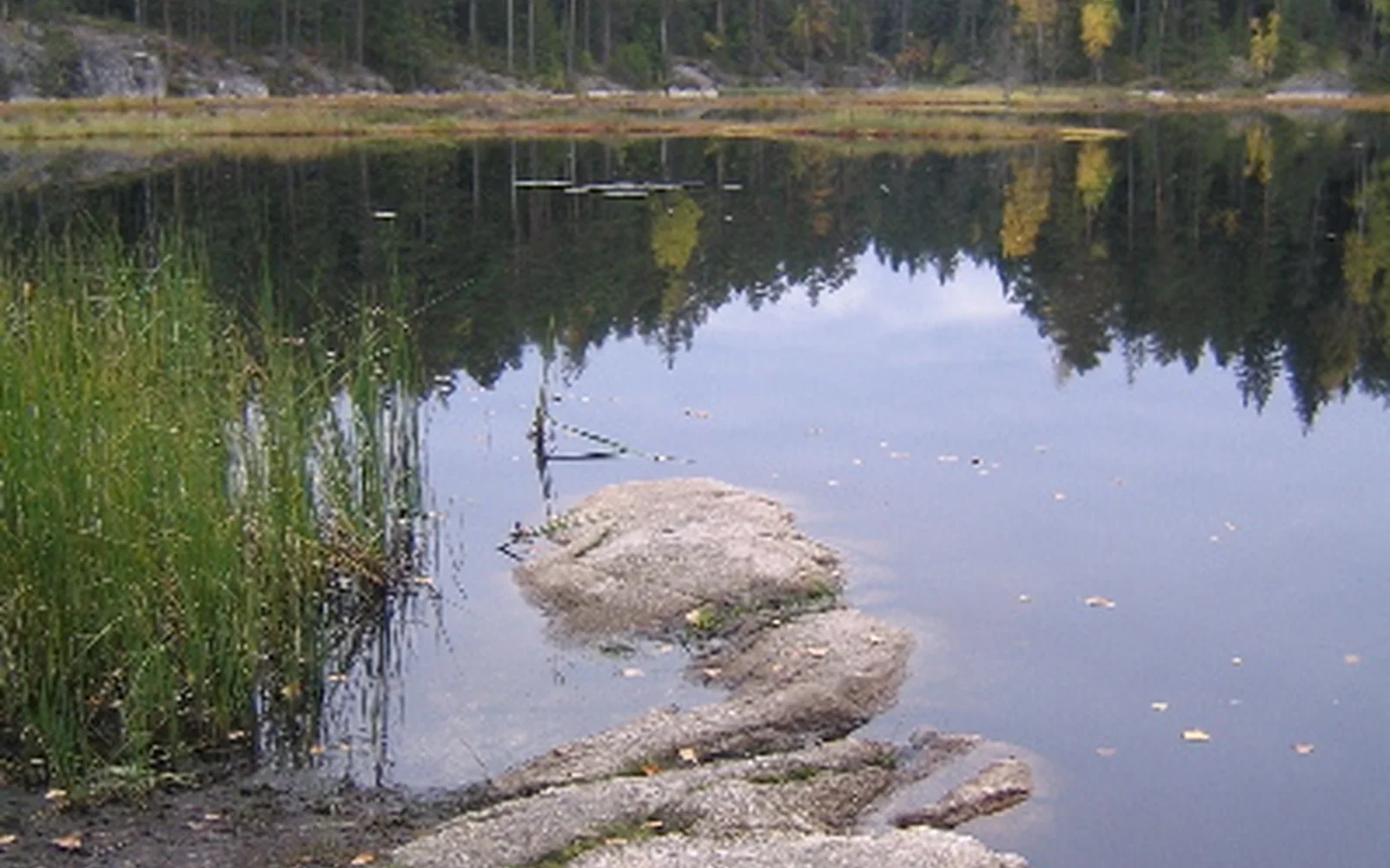Mustalampi lake and forest in Nuuksio National Park