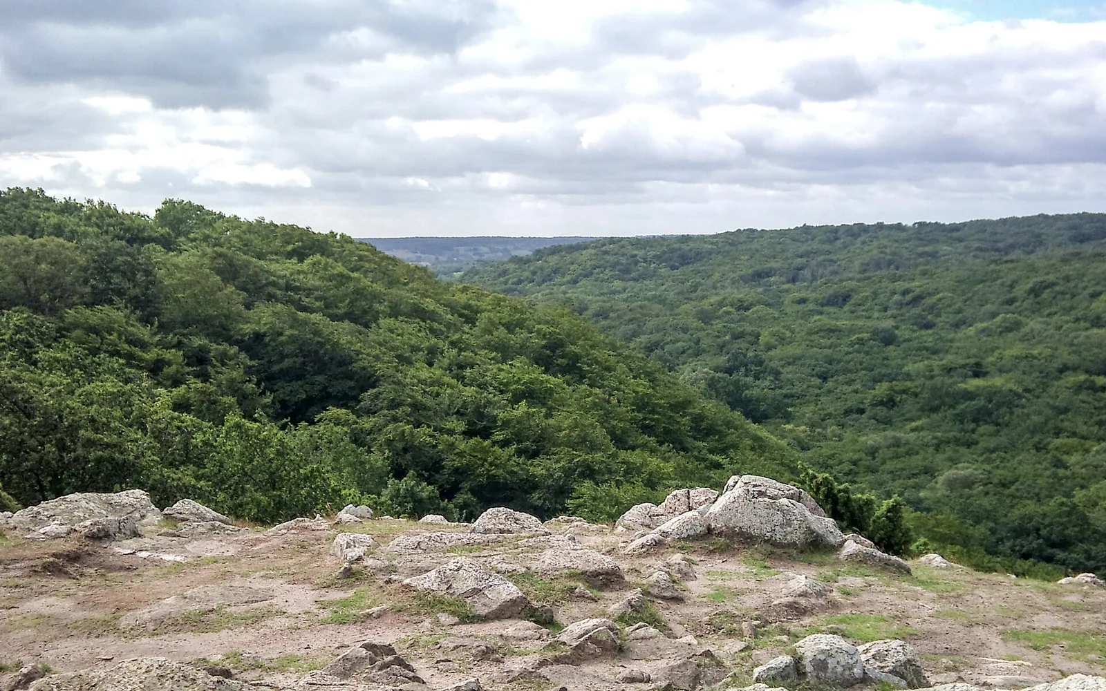 Wooded hills and open landscape at Stenshuvud in Scania