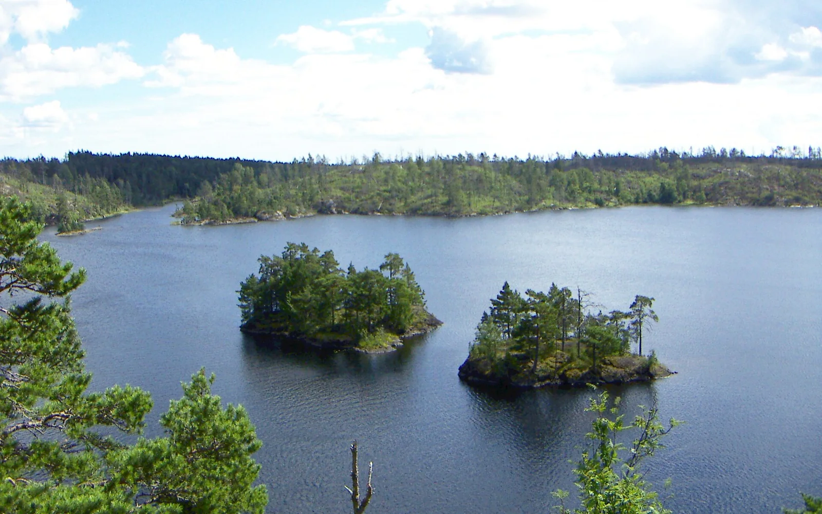 Stensjön lake and forest in Tyresta National Park