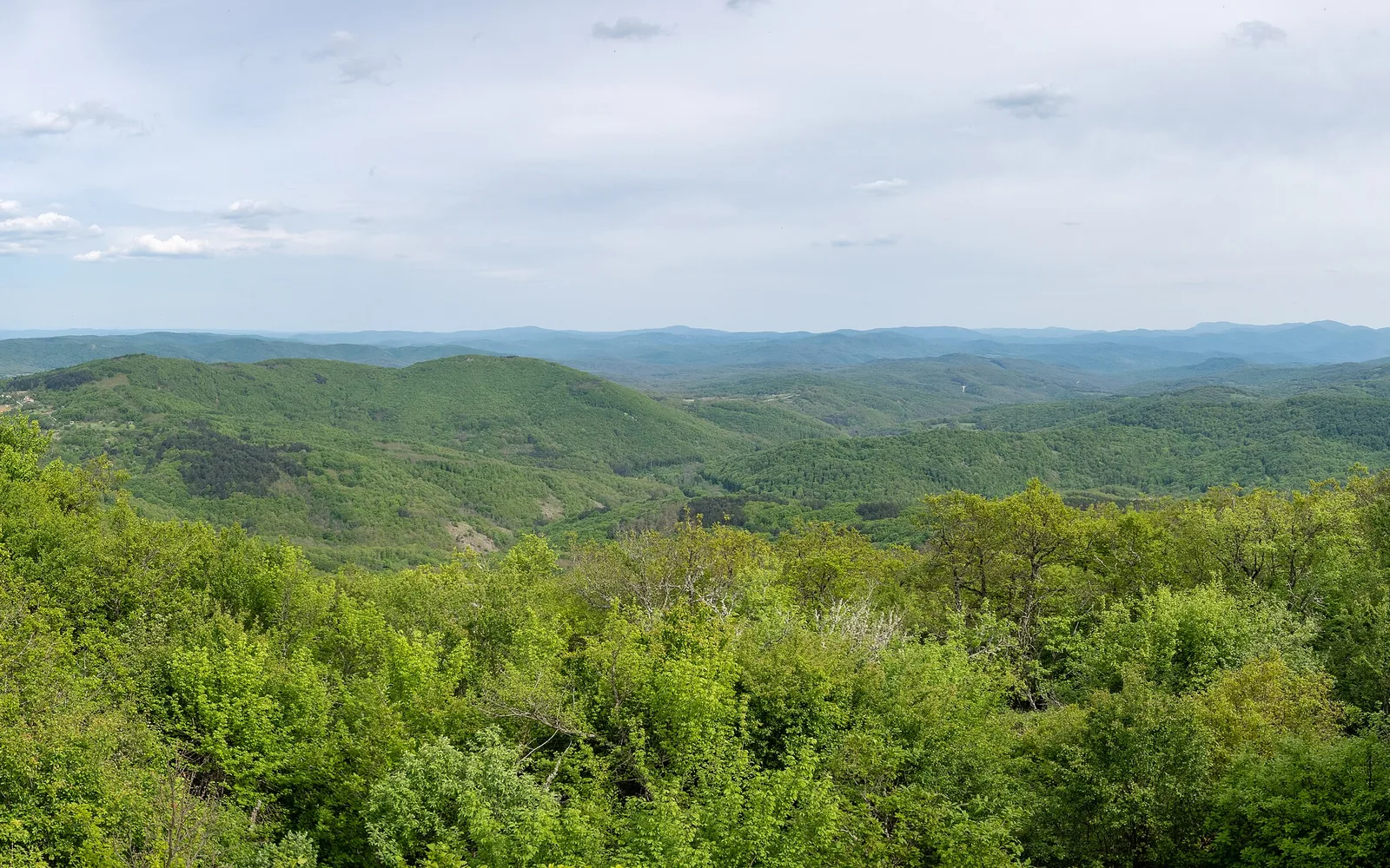Forested hills and rural landscape in Strandzha Nature Park