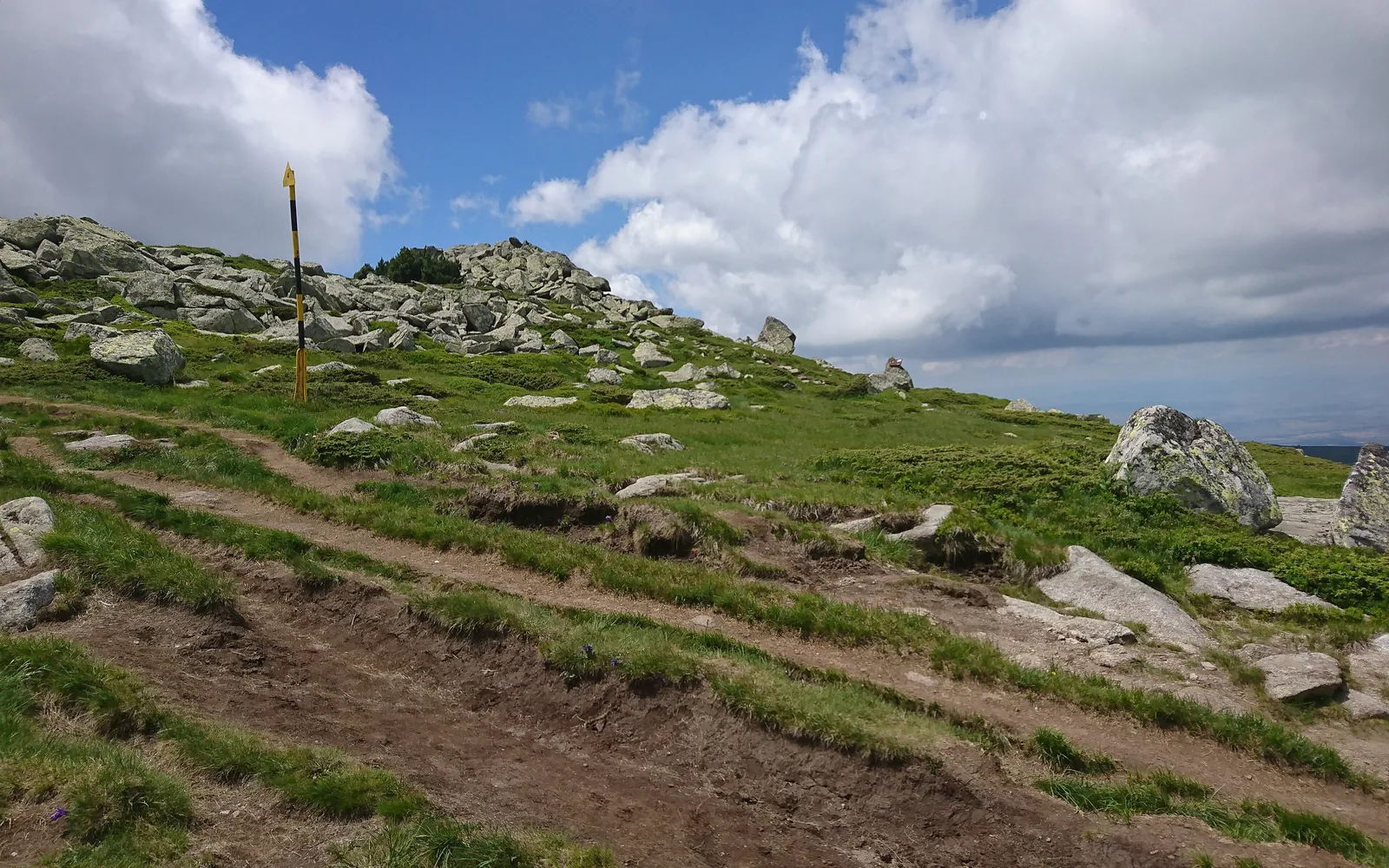 Mountain landscape in Vitosha Nature Park above Sofia
