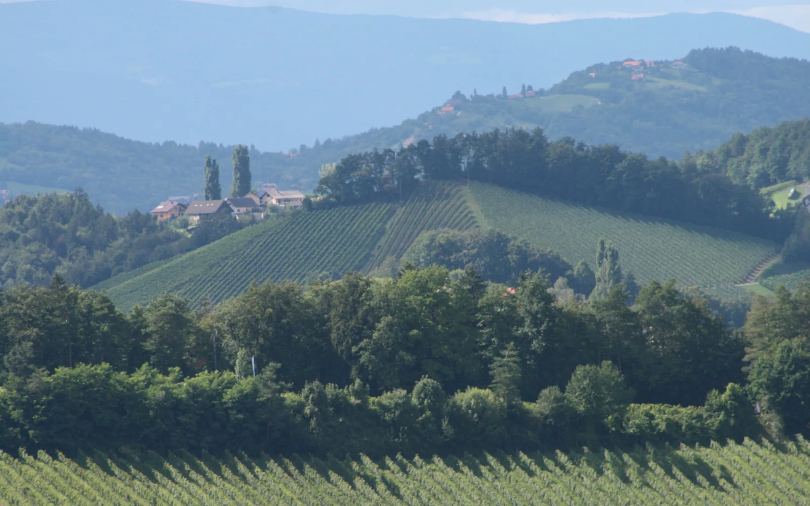 Vineyard hills along the South Styrian Wine Road