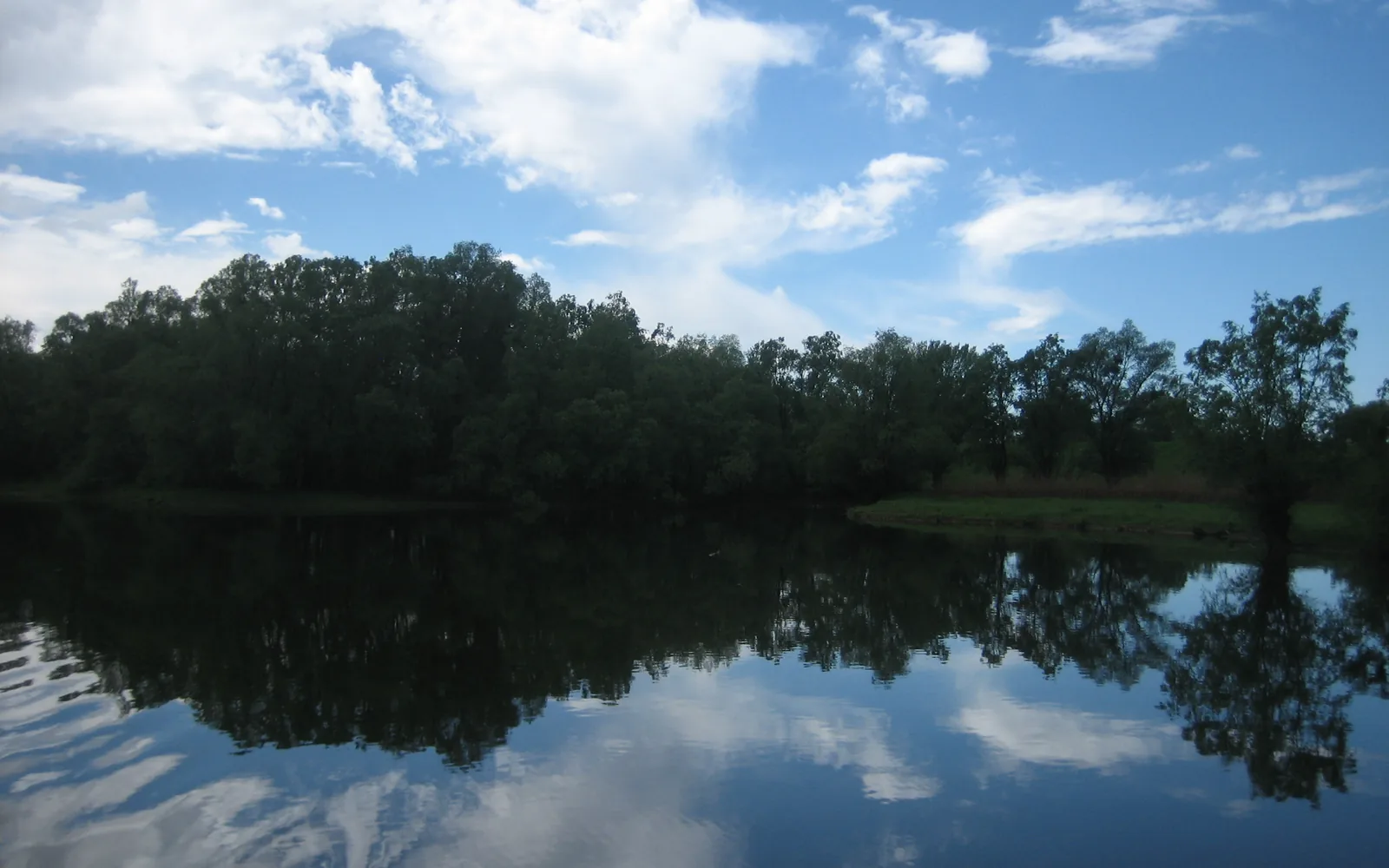 Wetland landscape in Kopački Rit Nature Park