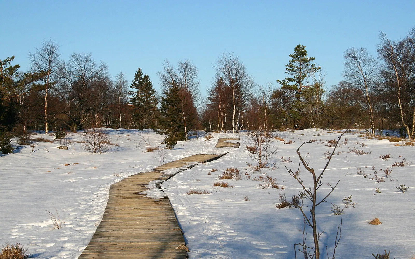 A wooden walking path across open moorland in the High Fens