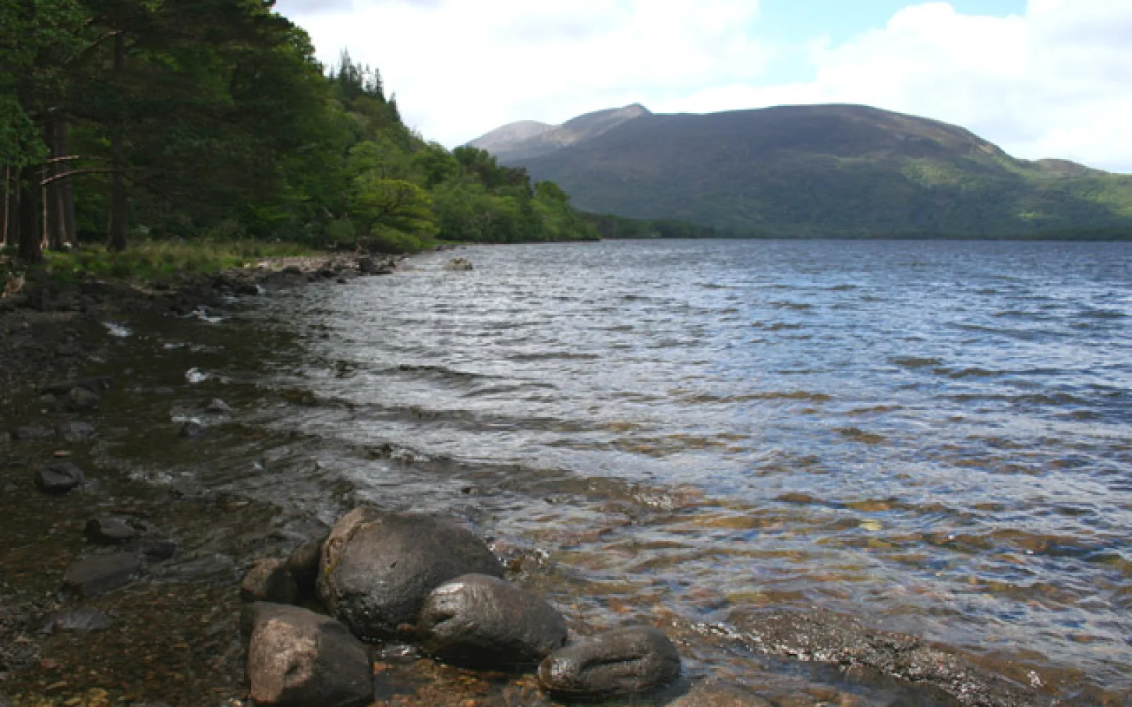 National Park lakes in Killarney
