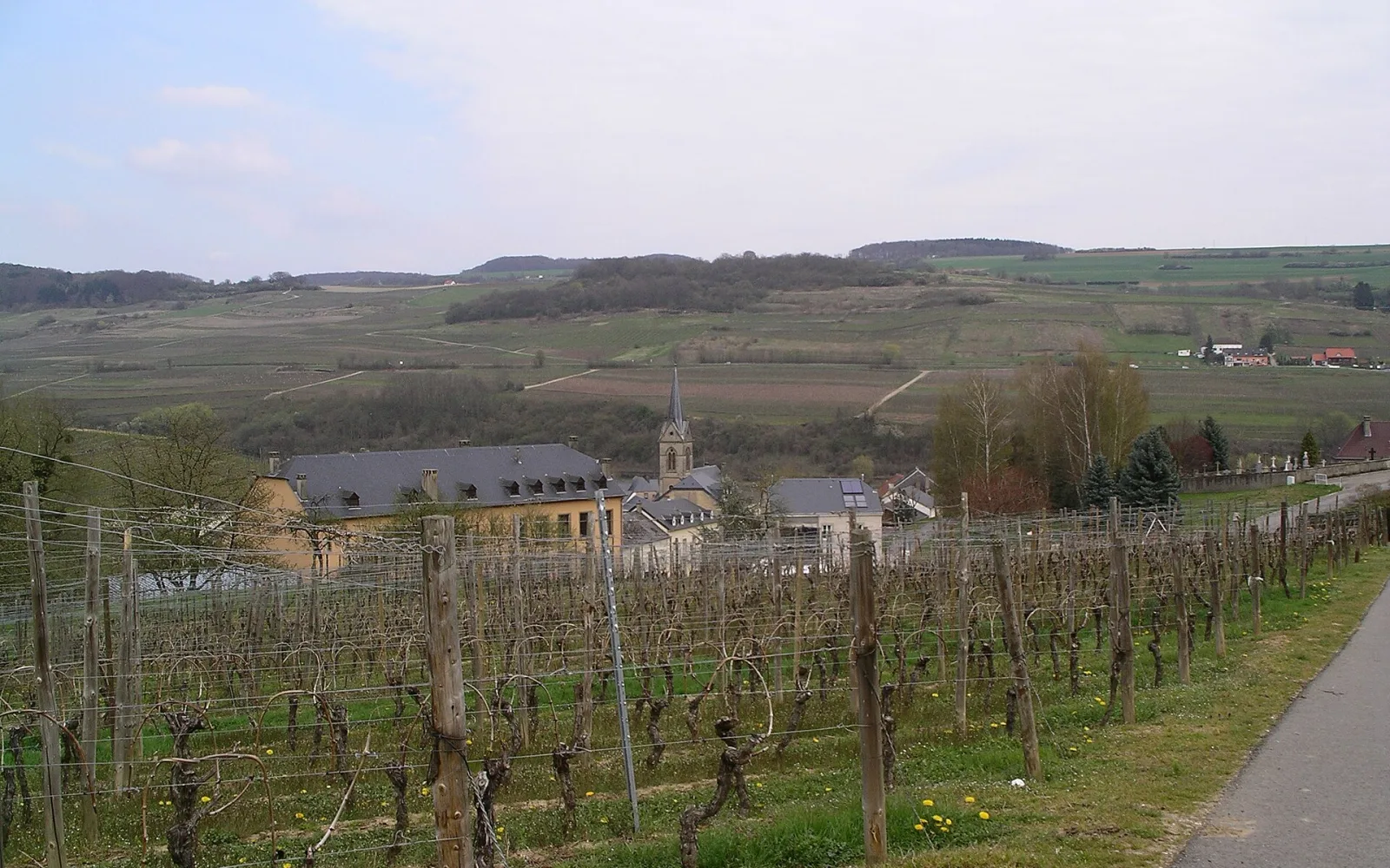 Luxembourg Moselle travel view