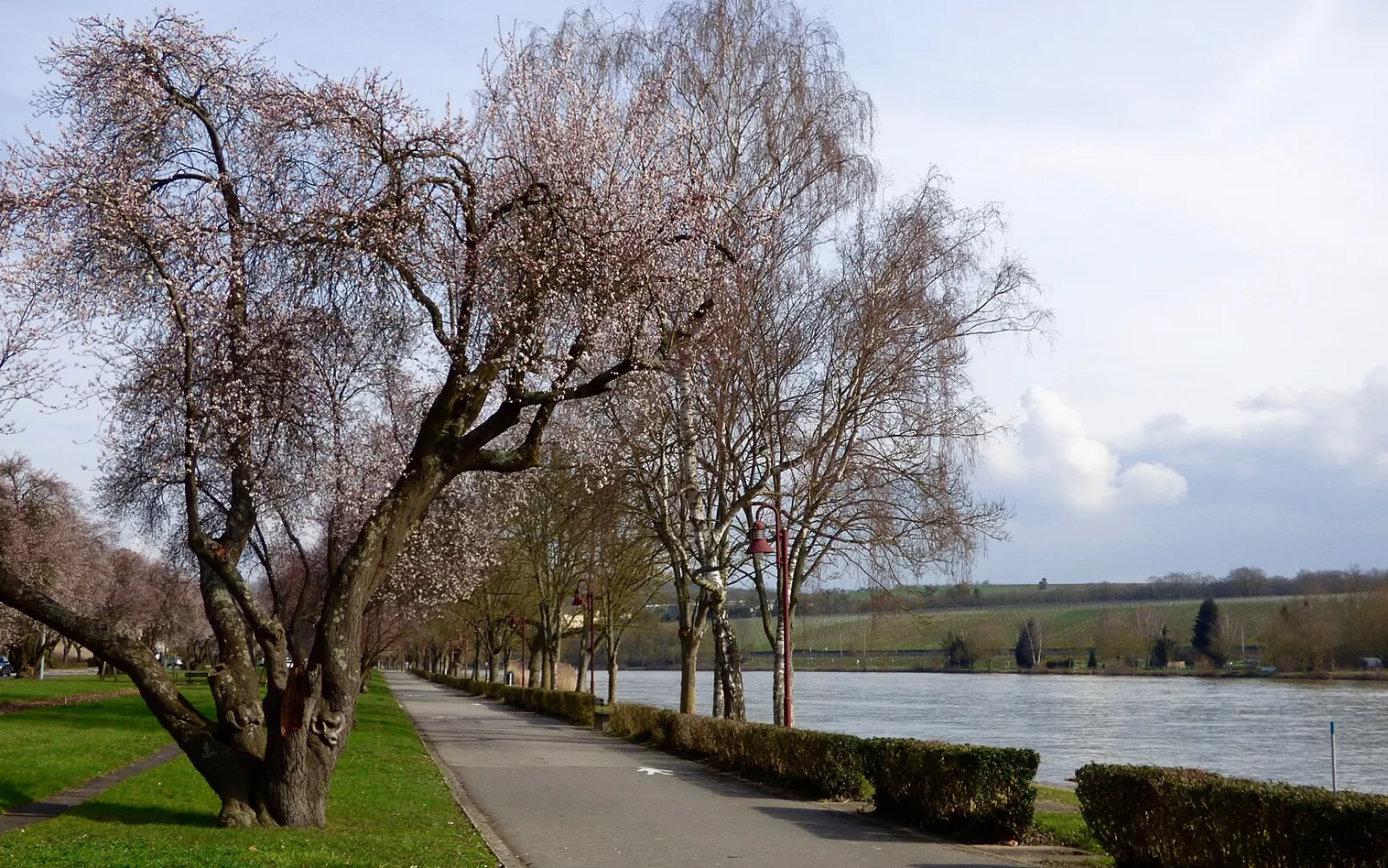 Riverside promenade beside the Moselle in Remich