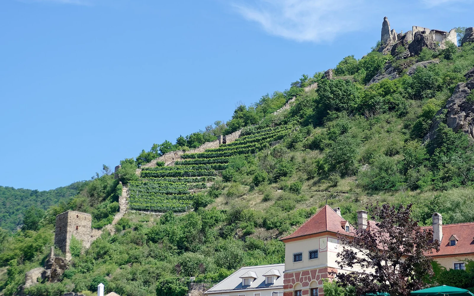 Dürnstein castle ruins above the Wachau