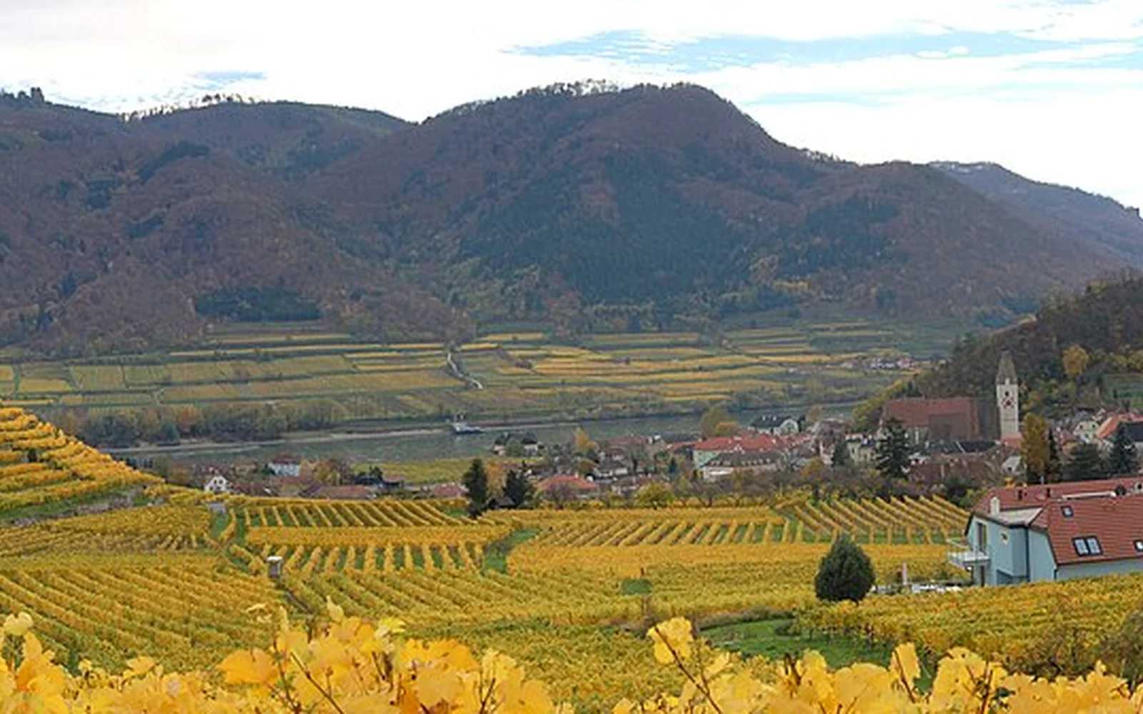 Danube, vineyards and villages in the Wachau Valley