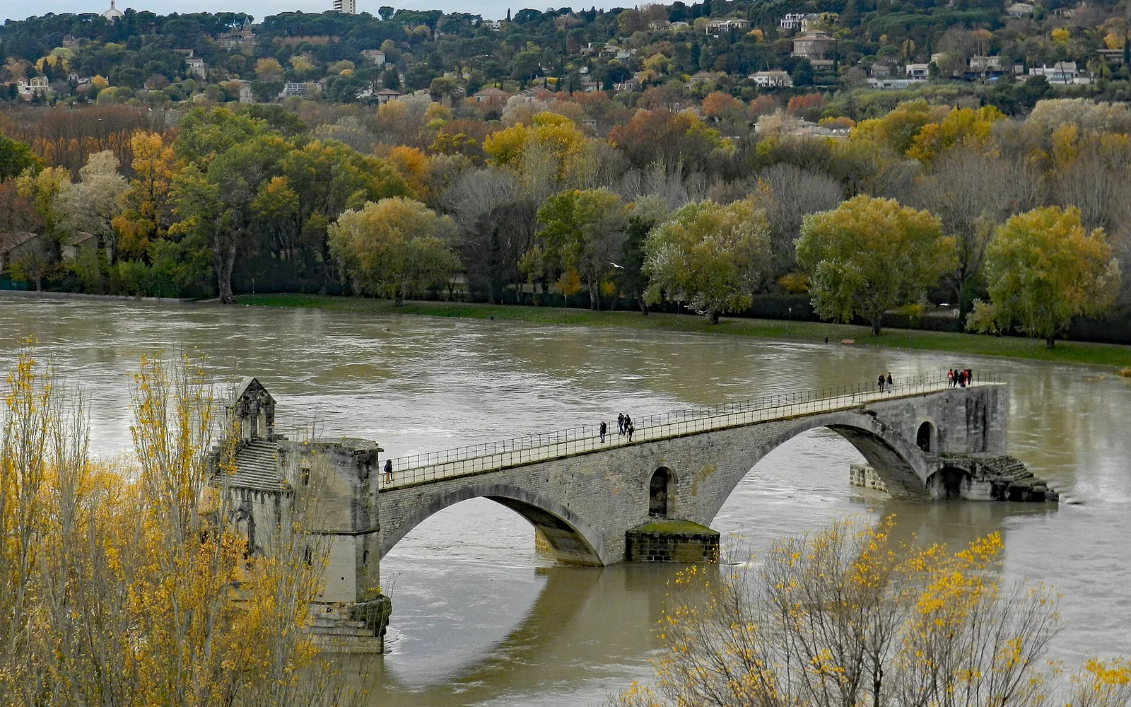 Pont Saint-Bénézet reaching into the Rhône at Avignon