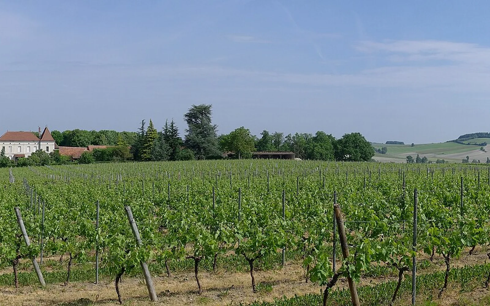 Vineyards across the Champagne countryside