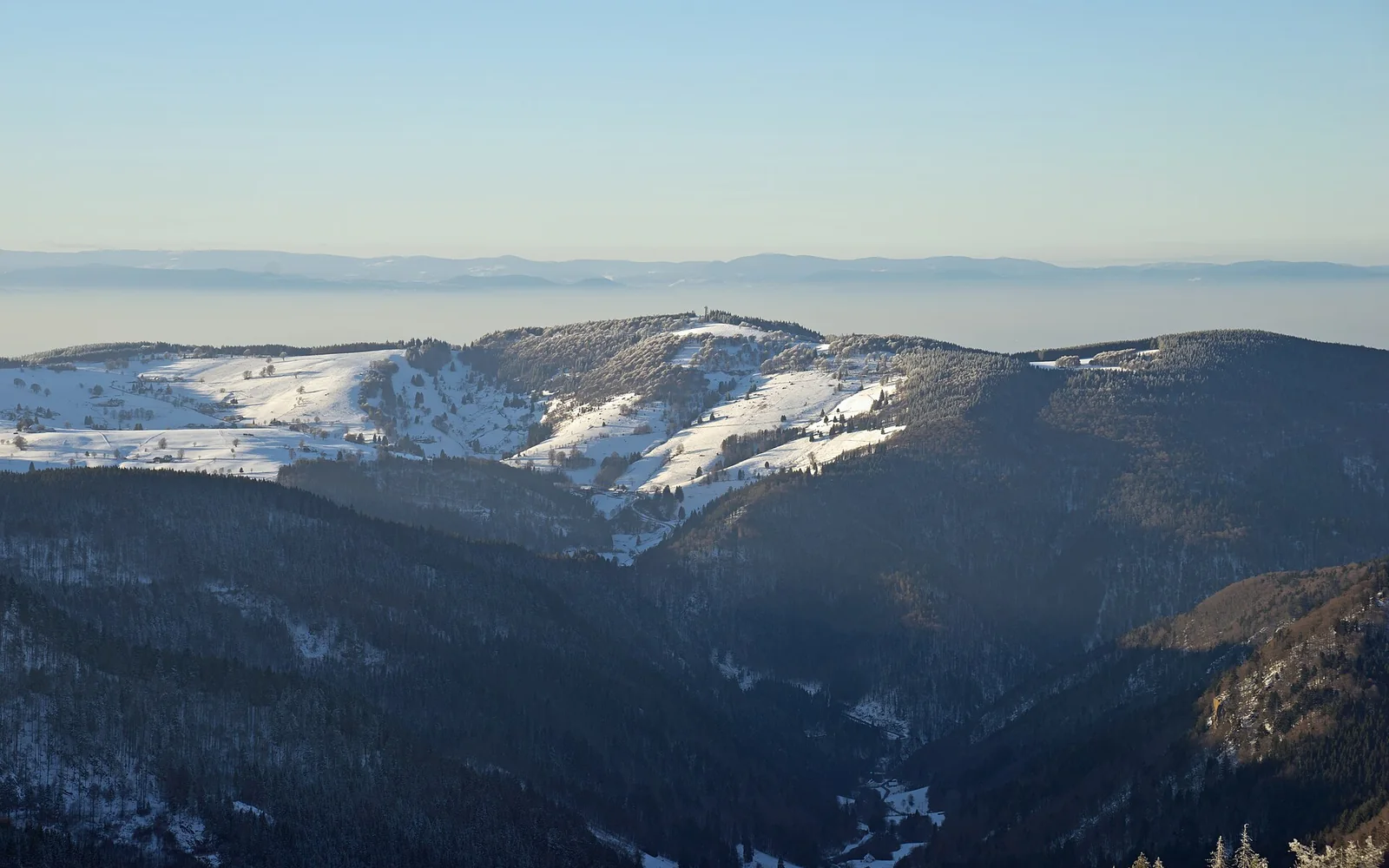 Wooded Black Forest ridges seen from the Feldberg