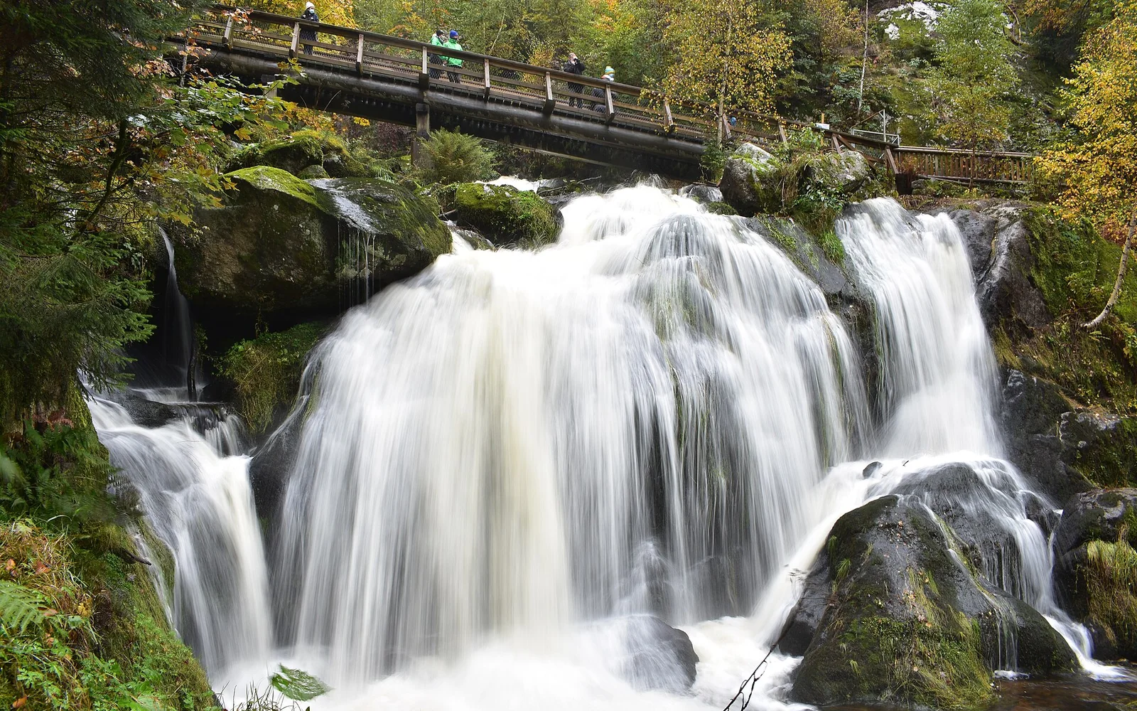 Water descending through the forest at Triberg