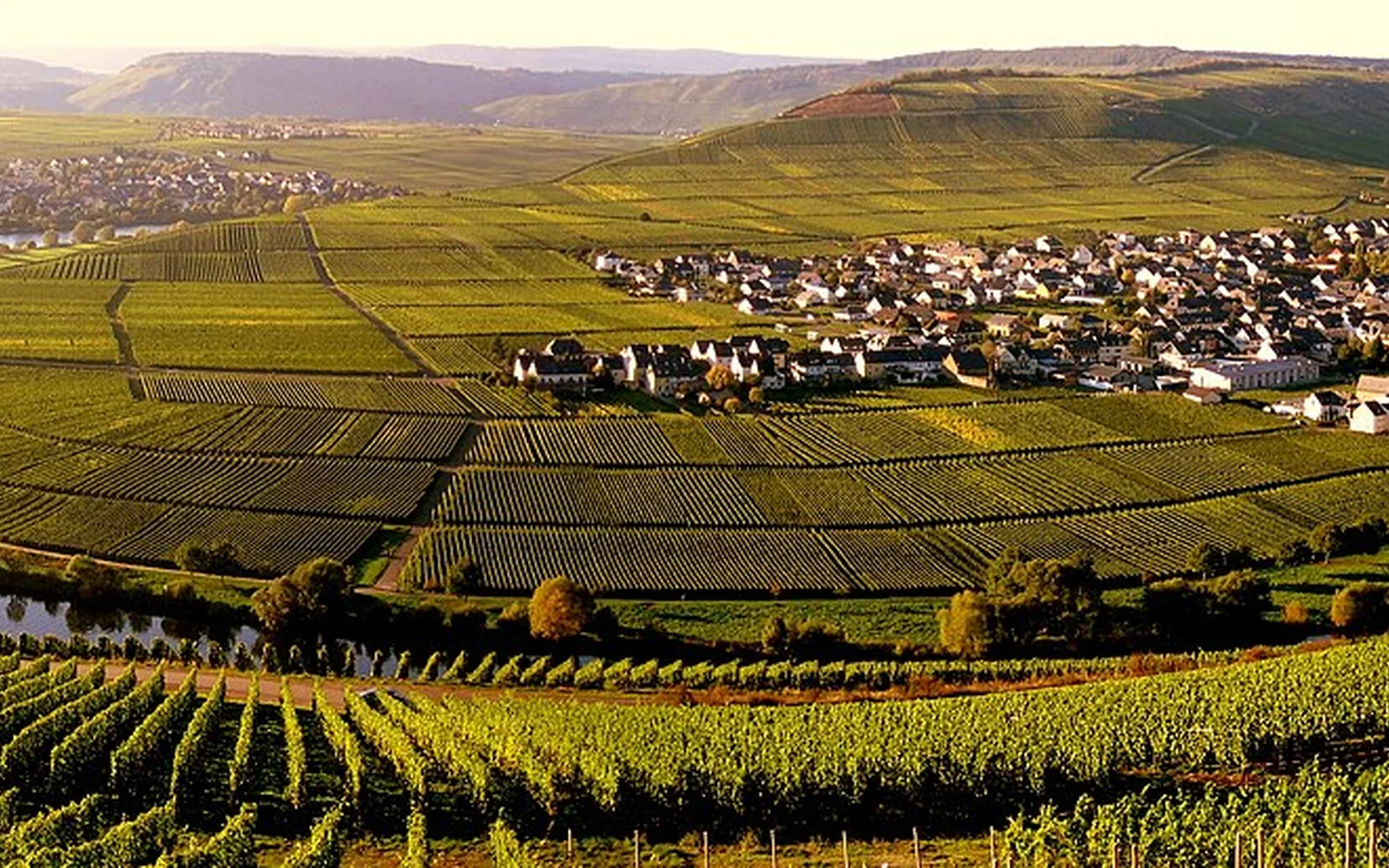 The Moselle curving through vineyards around Trittenheim