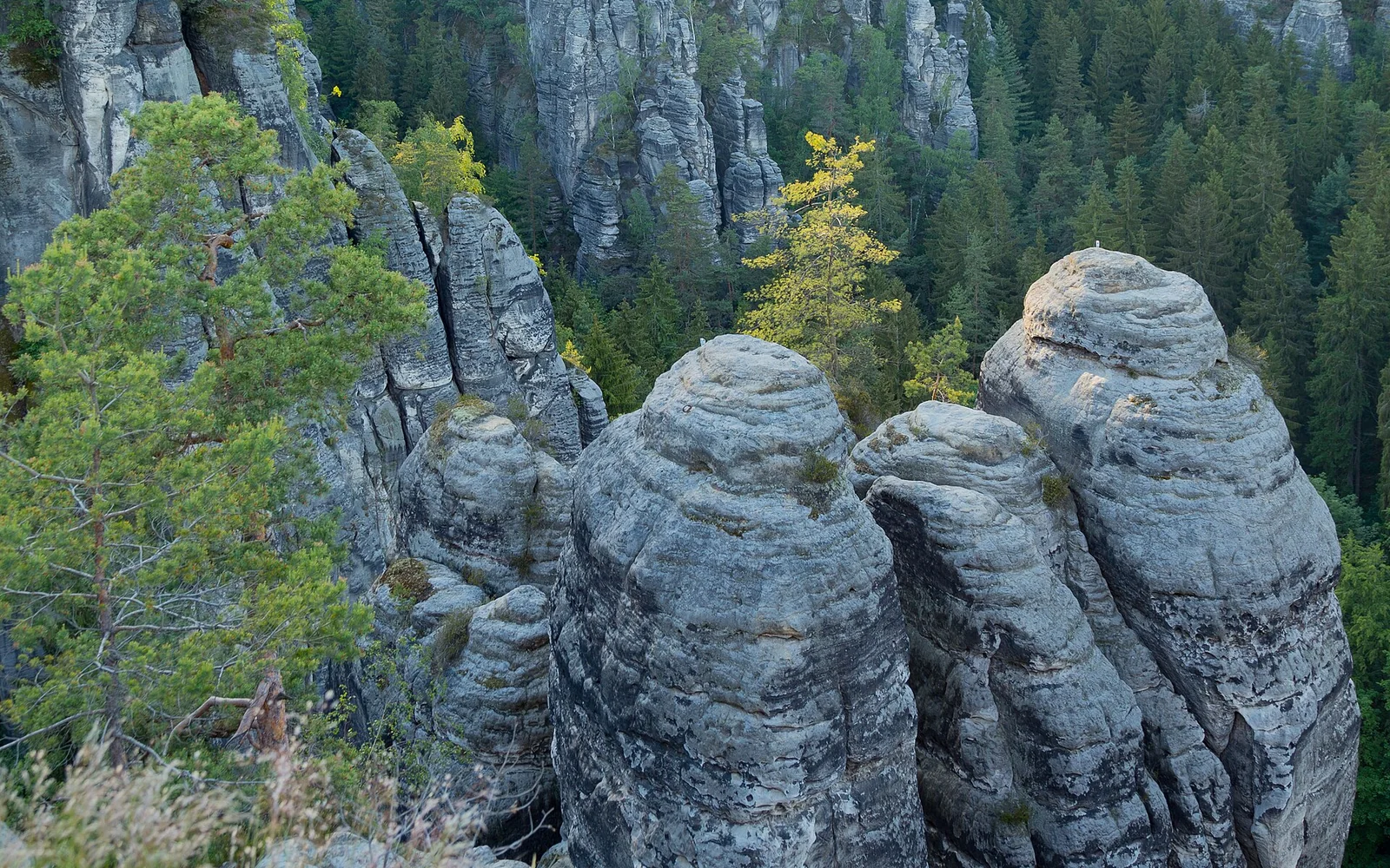 Sandstone formations above the Wehlgrund in Saxon Switzerland National Park
