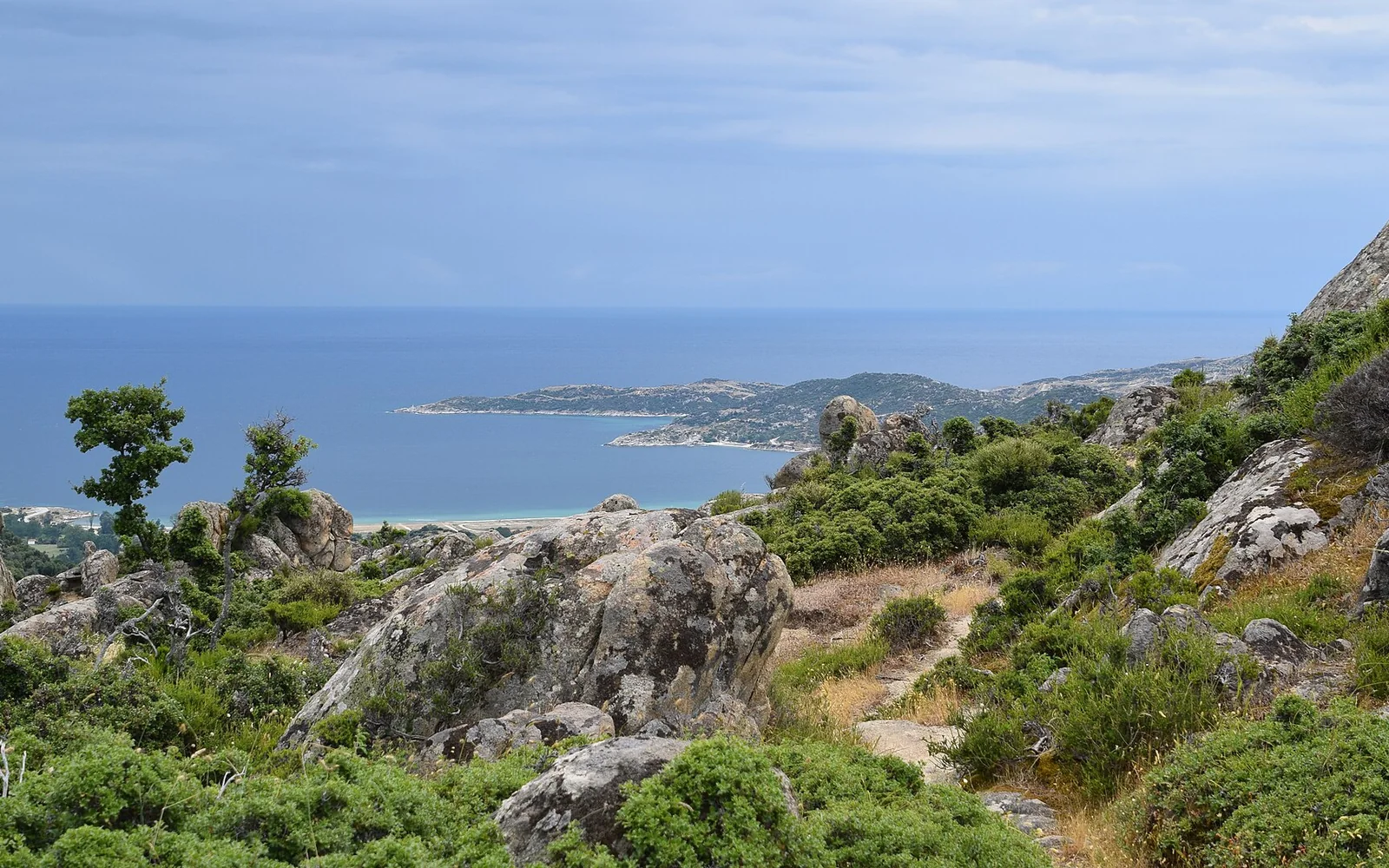 The pine-lined coast of Sithonia in Halkidiki