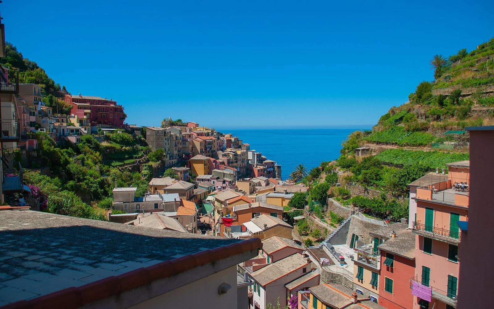 Manarola's colourful houses above the sea