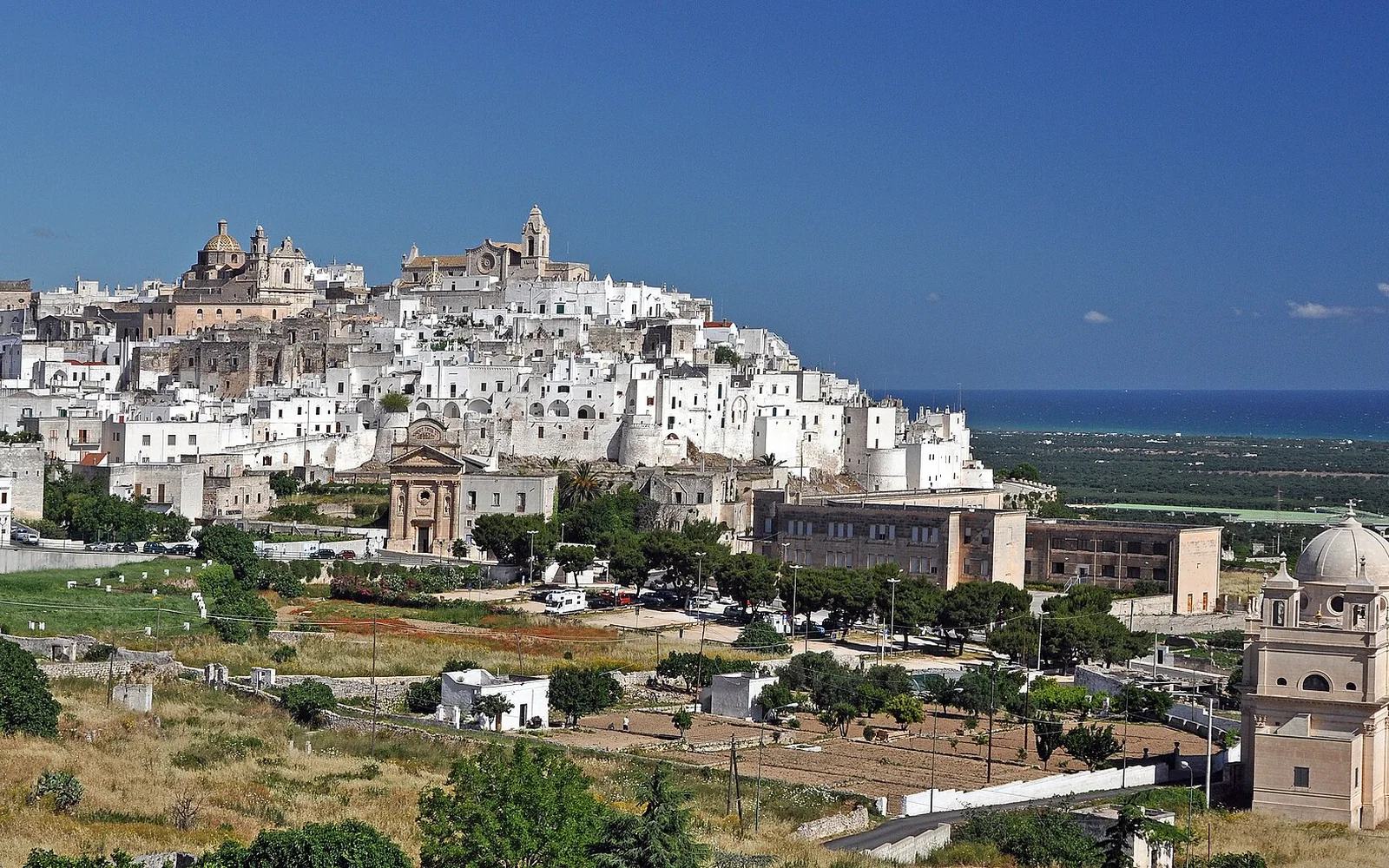 Whitewashed buildings across the hill town of Ostuni